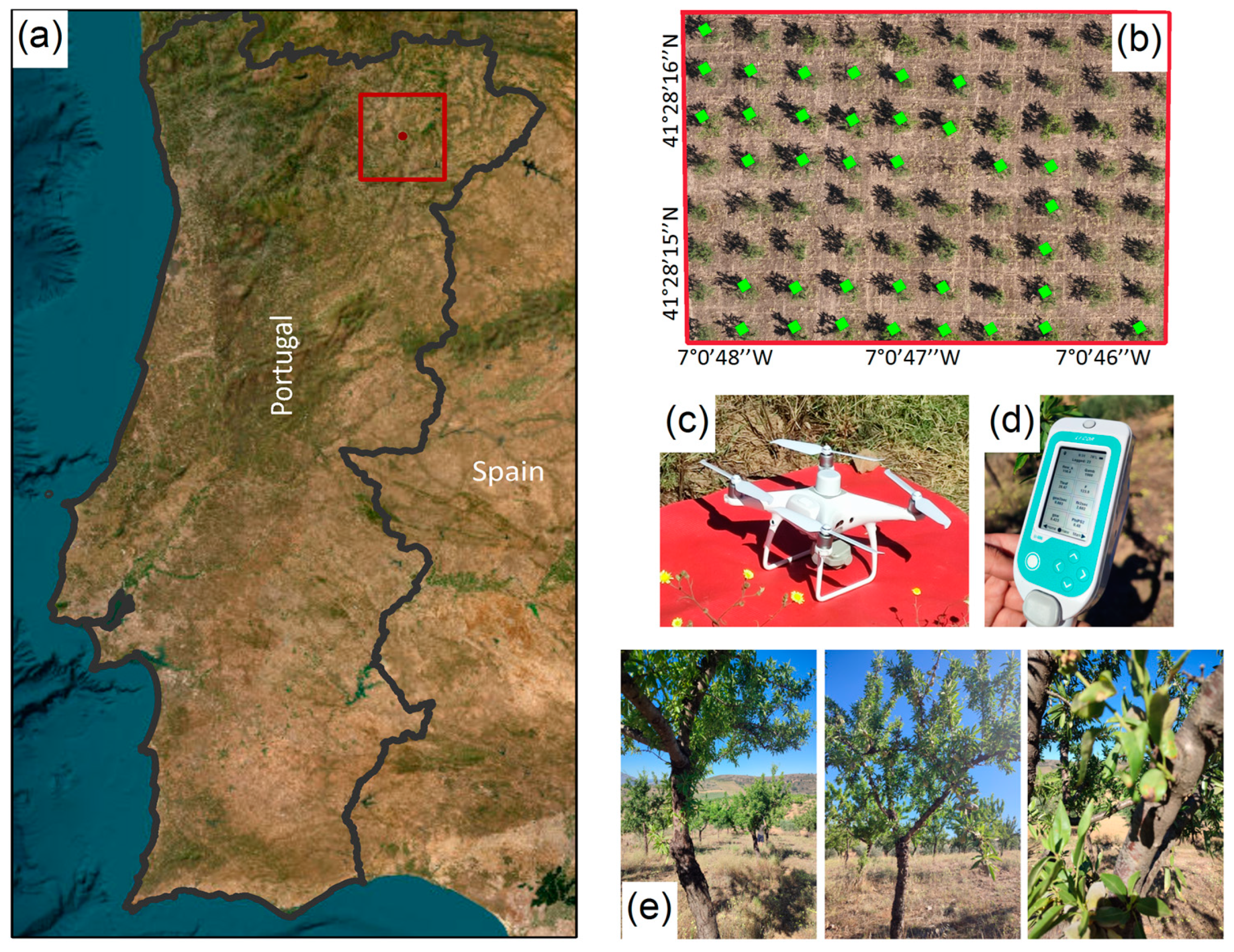 Remotesensing 16 02467 g001