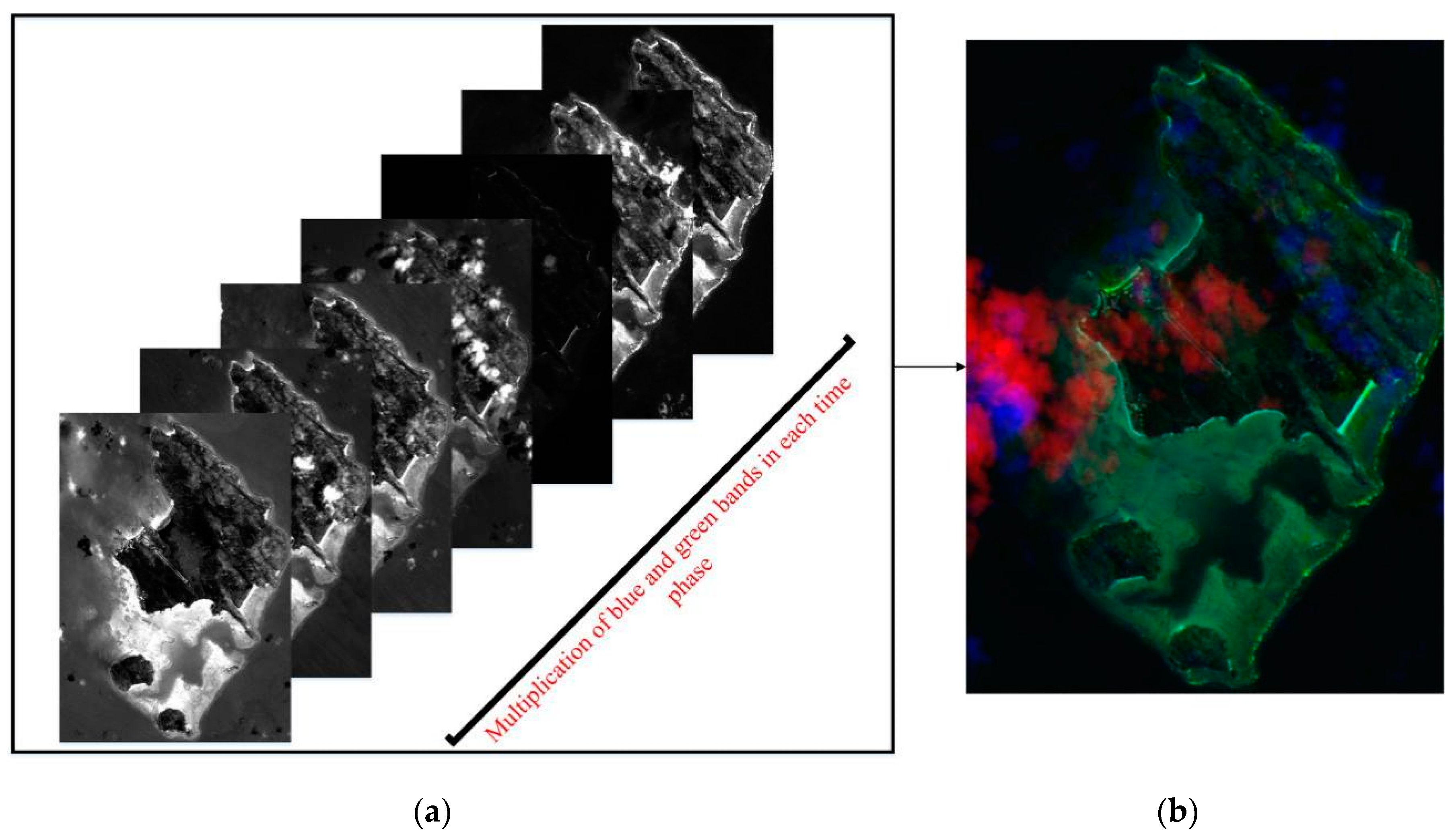 Remotesensing 16 02473 g006