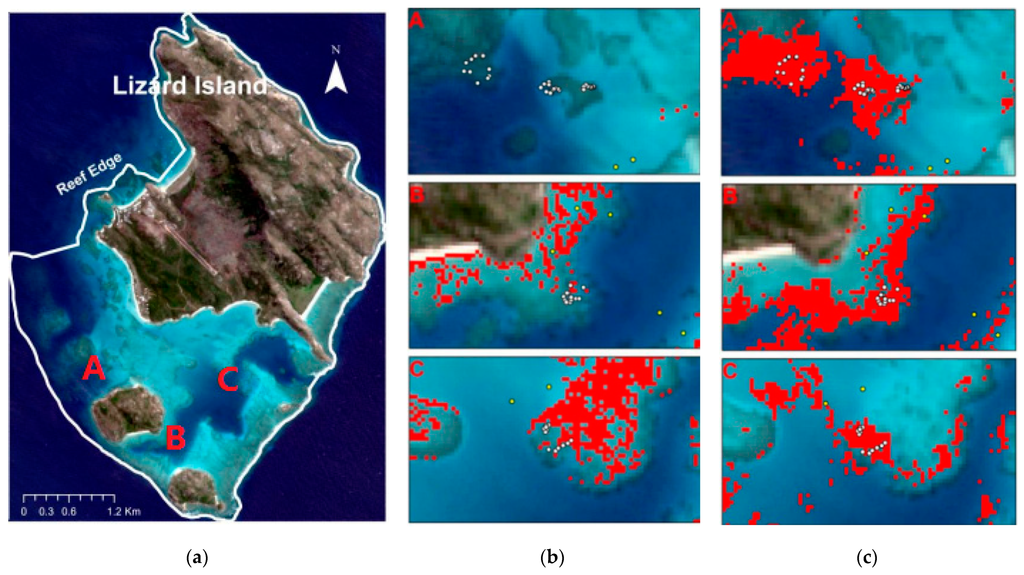 Remotesensing 16 02473 g008