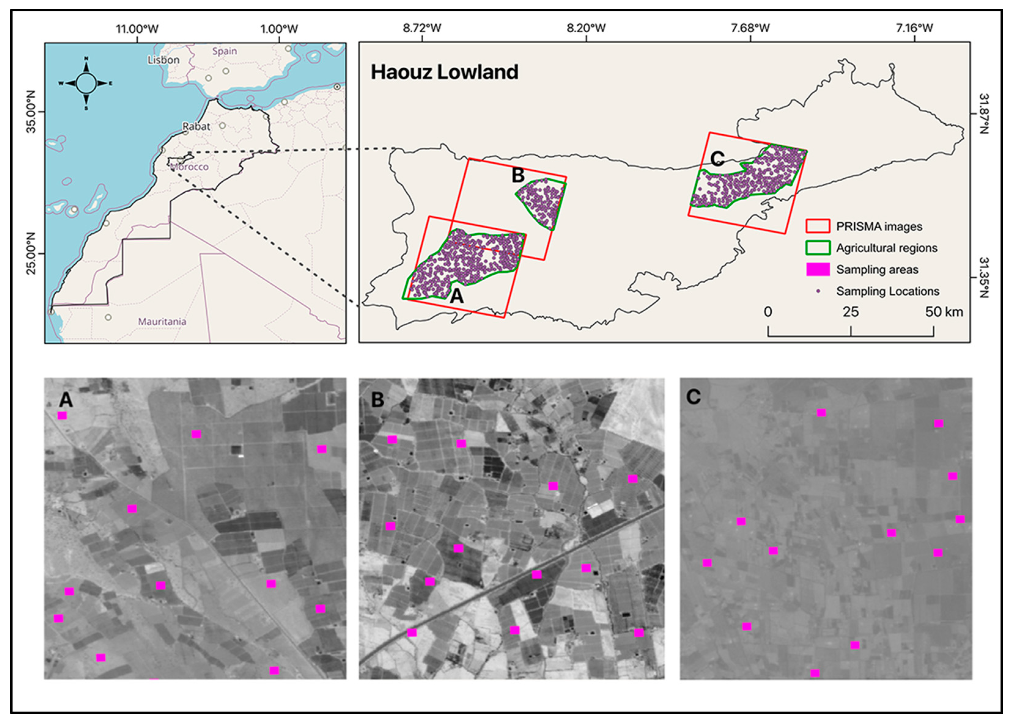 Remotesensing 16 02549 g001