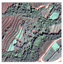 Remotesensing 16 02556 i007 Remotesensing 16 02556 i007