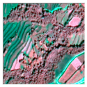 Remotesensing 16 02556 i008 Remotesensing 16 02556 i008
