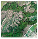 Remotesensing 16 02556 i010 Remotesensing 16 02556 i010