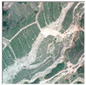 Remotesensing 16 02556 i014 Remotesensing 16 02556 i014
