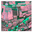 Remotesensing 16 02556 i020 Remotesensing 16 02556 i020
