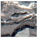 Remotesensing 16 02556 i025 Remotesensing 16 02556 i025