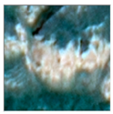 Remotesensing 16 02556 i027 Remotesensing 16 02556 i027