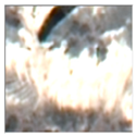 Remotesensing 16 02556 i029 Remotesensing 16 02556 i029