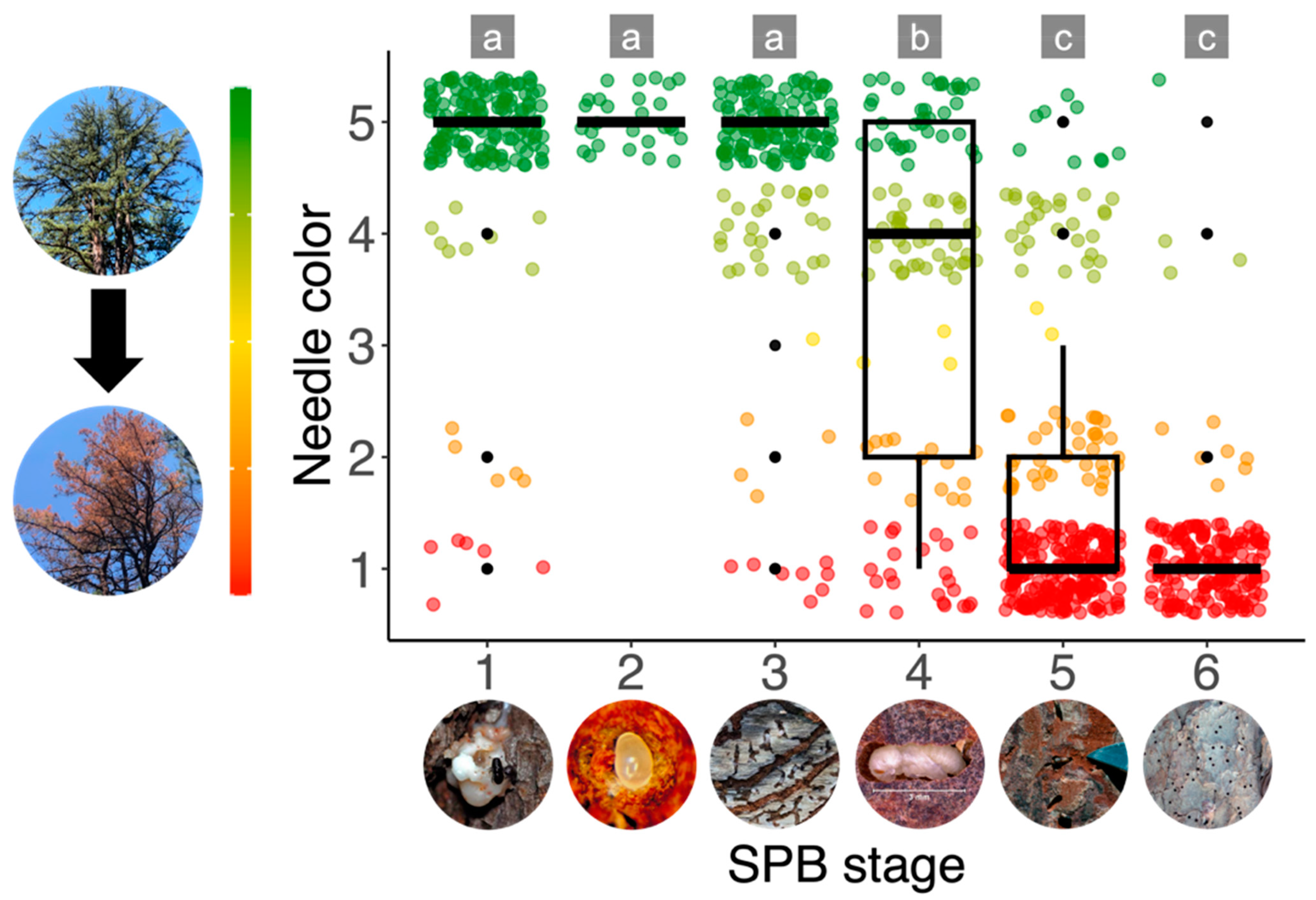 Remotesensing 16 02608 g005