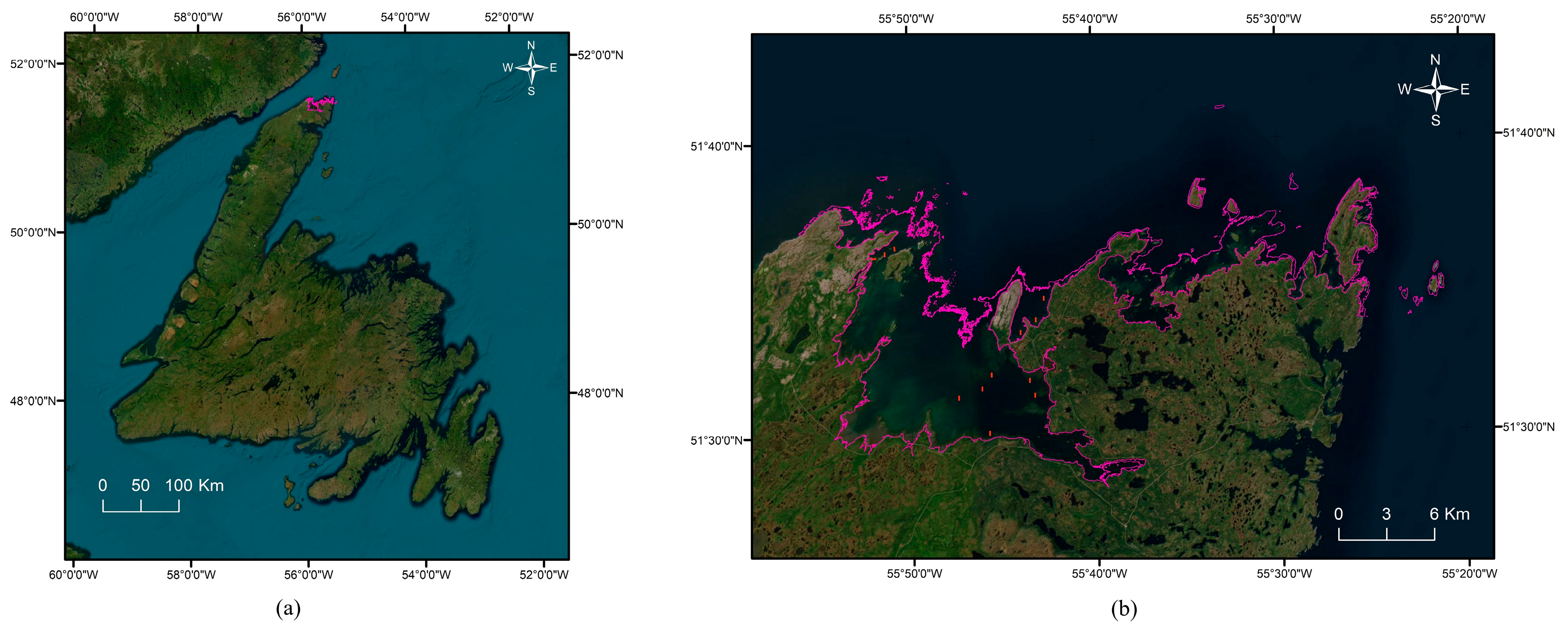Remotesensing 16 02654 g001