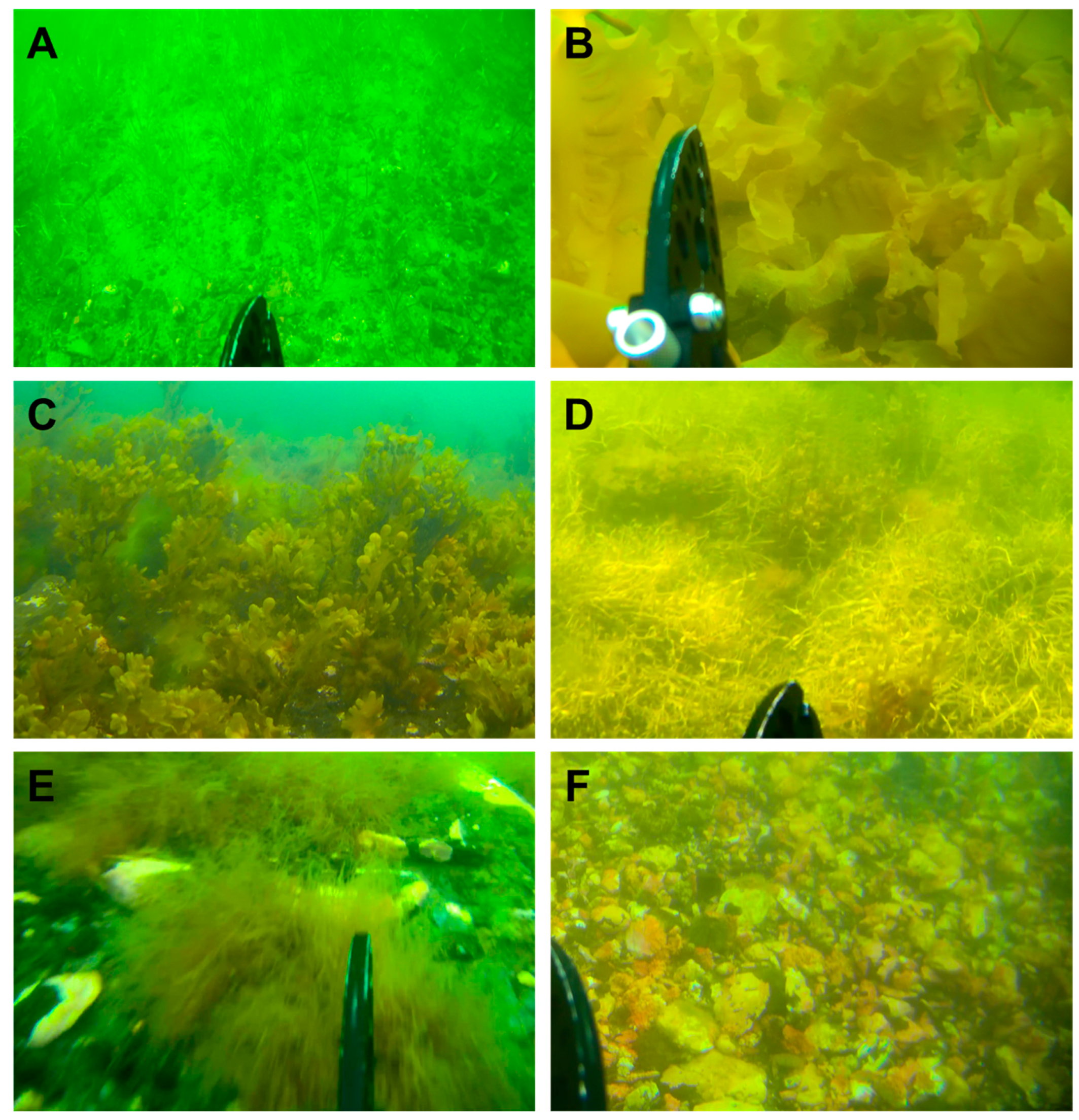 Remotesensing 16 02654 g003