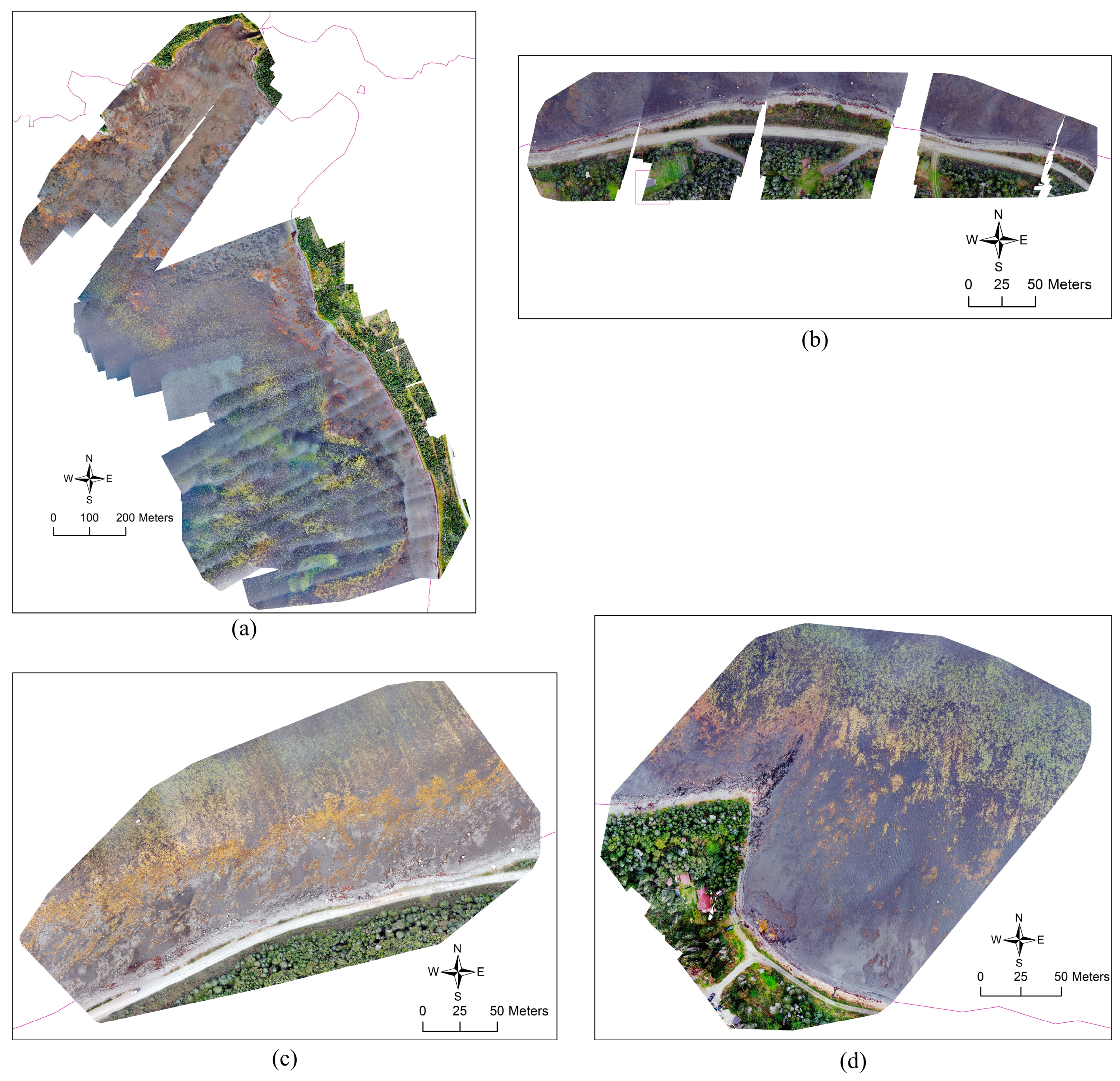 Remotesensing 16 02654 g004