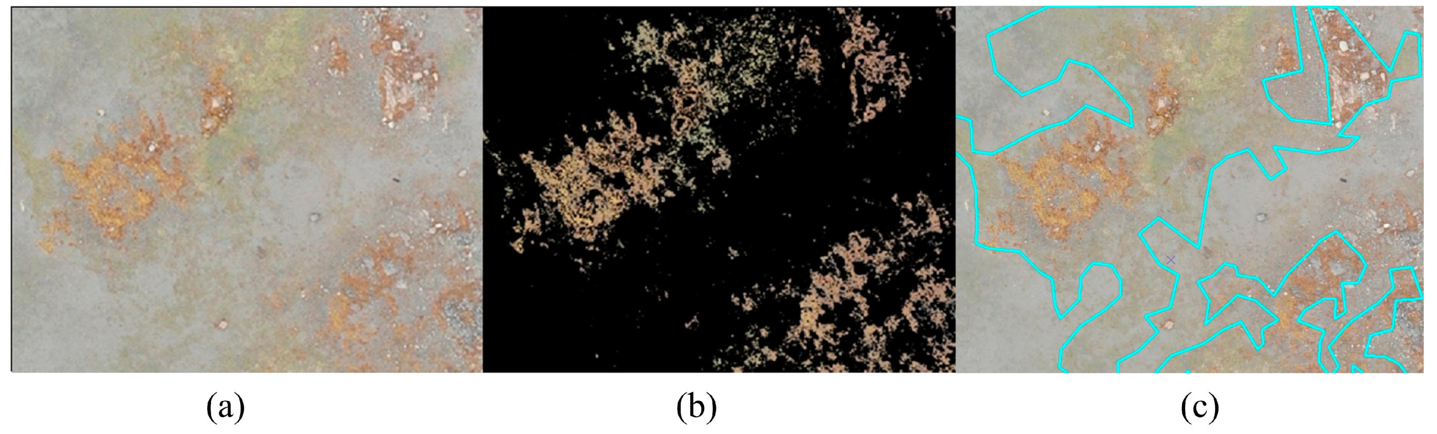 Remotesensing 16 02654 g007