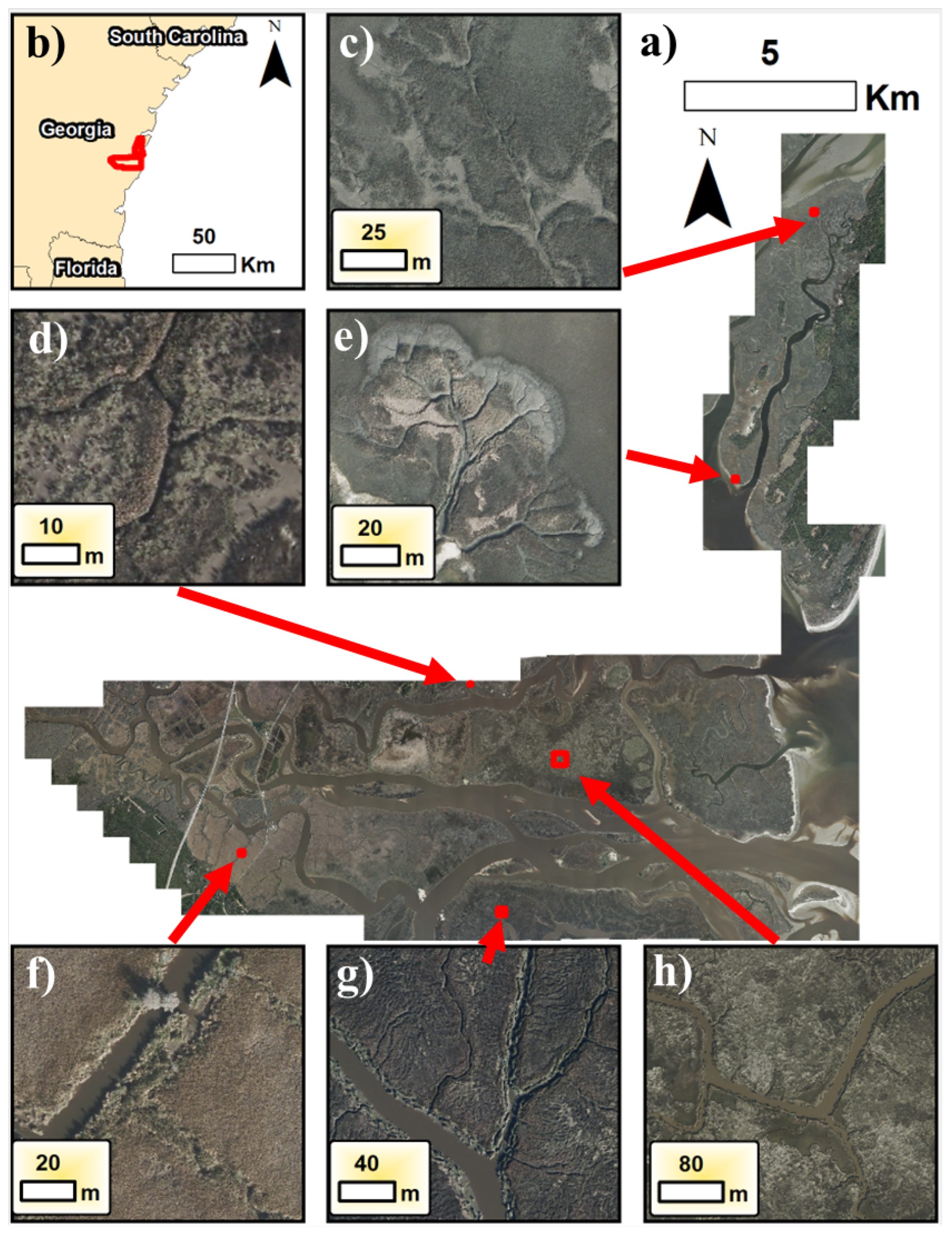 Remotesensing 16 02659 g001