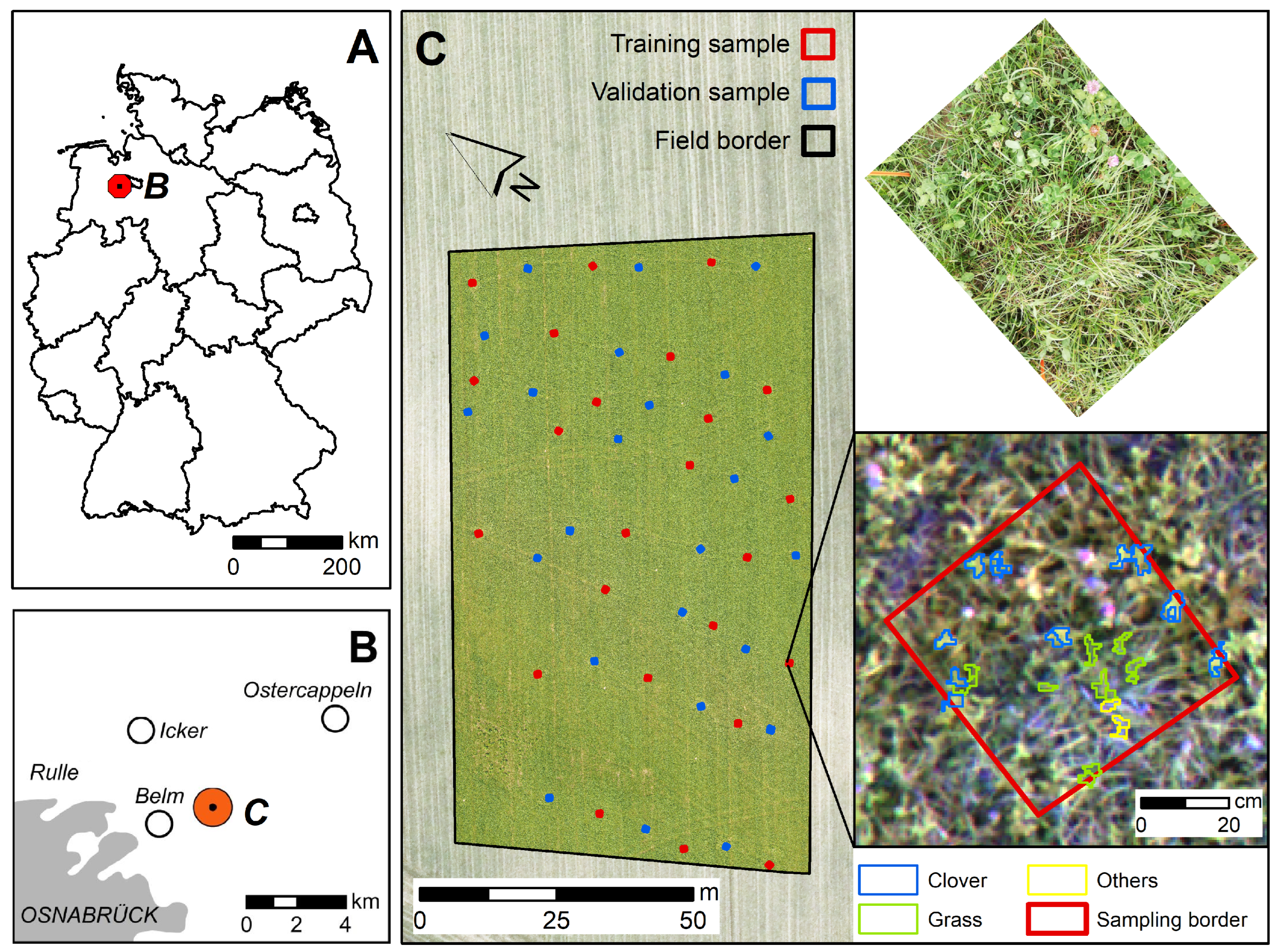 Remotesensing 16 02684 g001