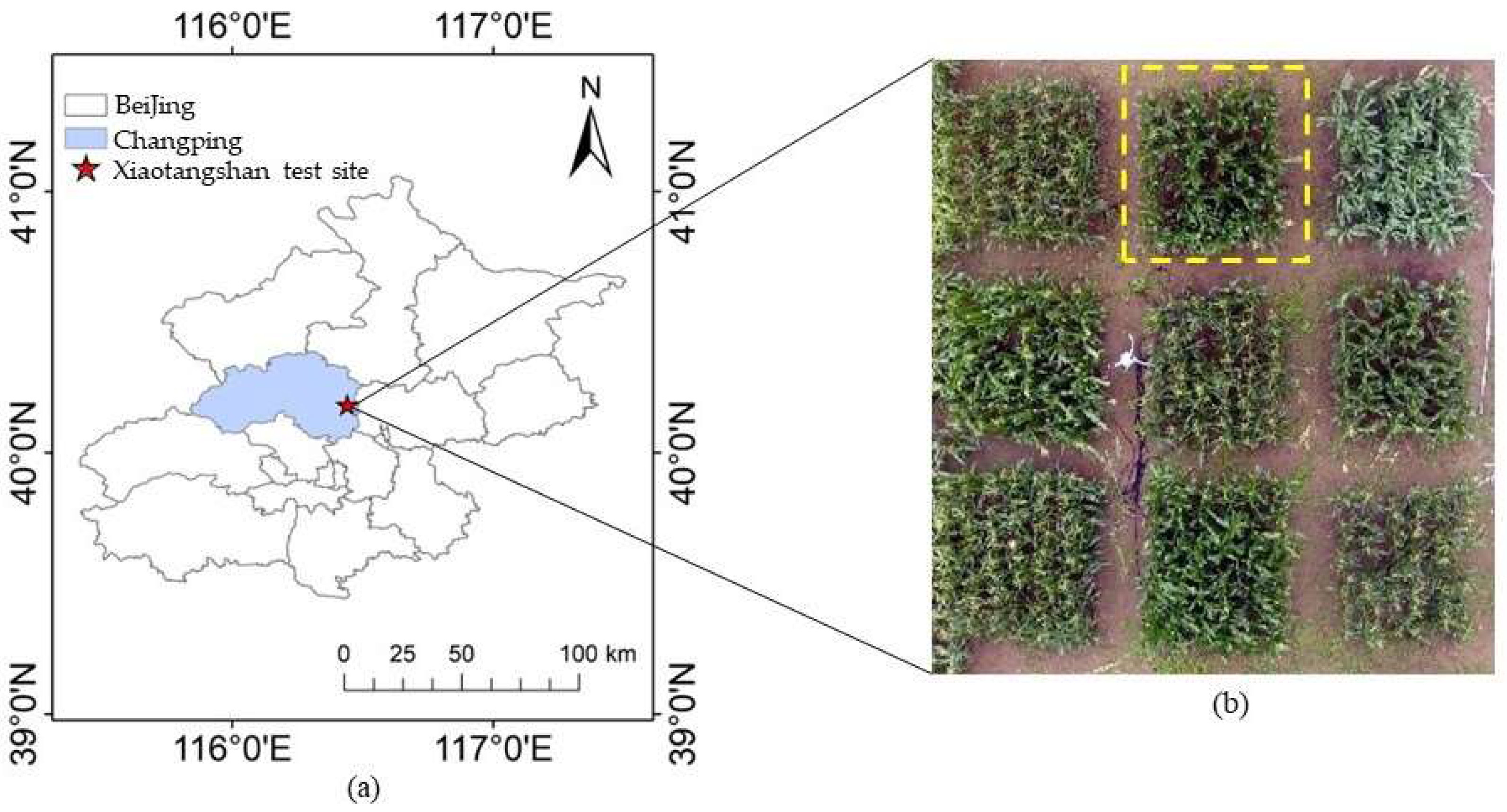 Remotesensing 16 02721 g001