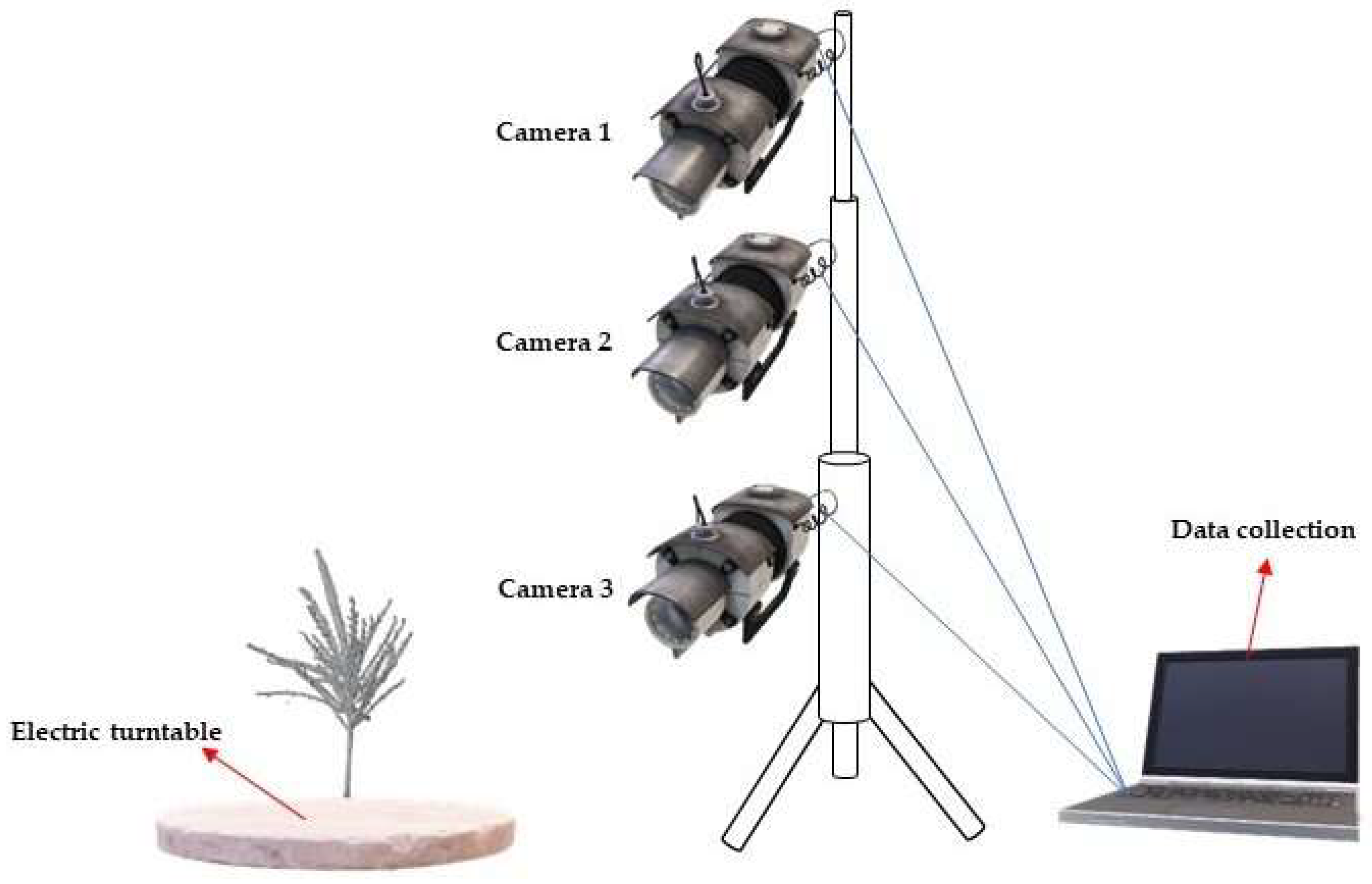 Remotesensing 16 02721 g004