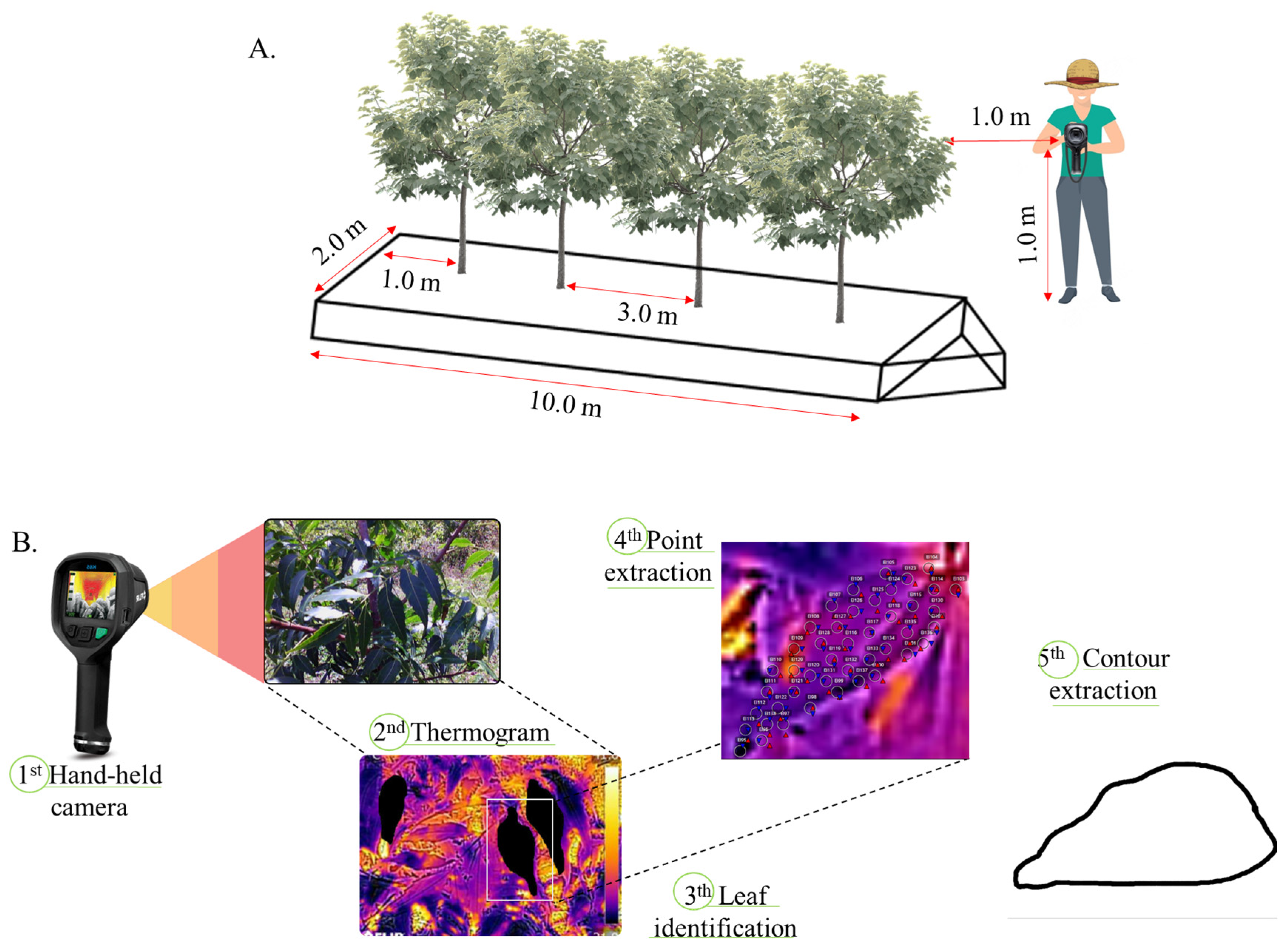 Remotesensing 16 02782 g002