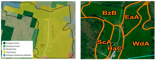 Remotesensing 16 02784 g0a1