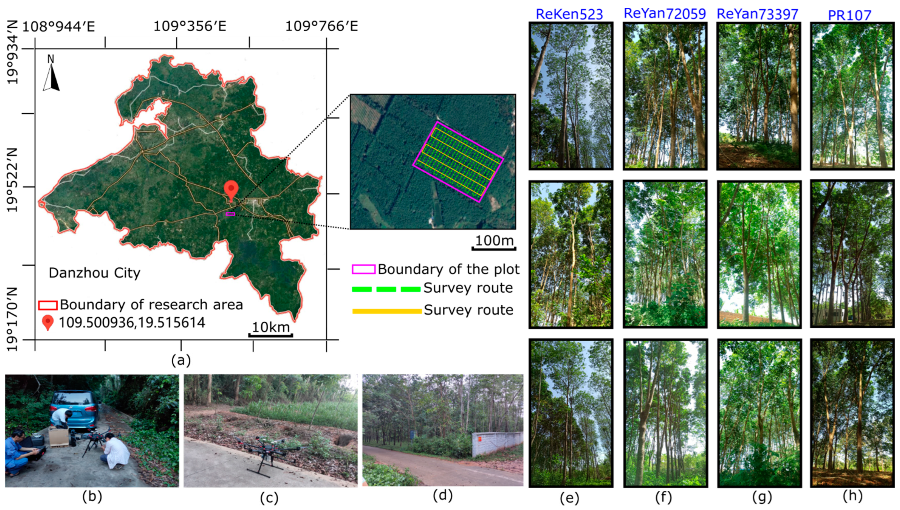 Remotesensing 16 02807 g001 Remotesensing 16 02807 g001