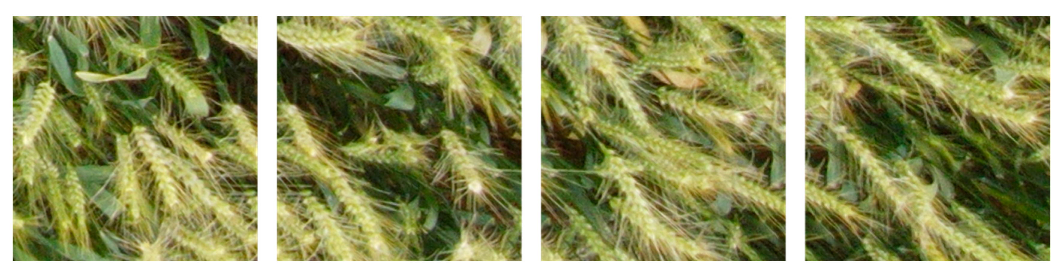 Remotesensing 16 02820 g002