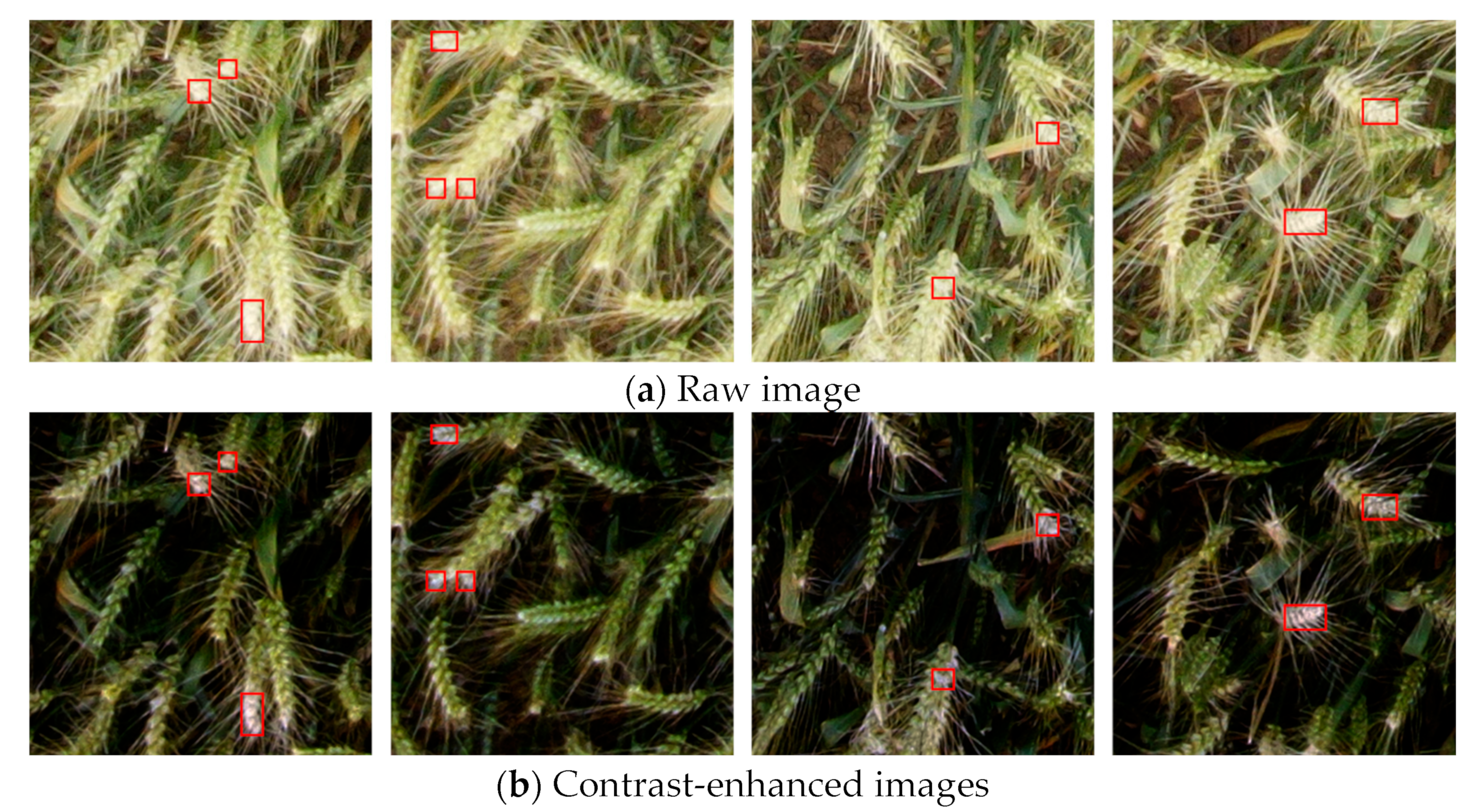 Remotesensing 16 02820 g003