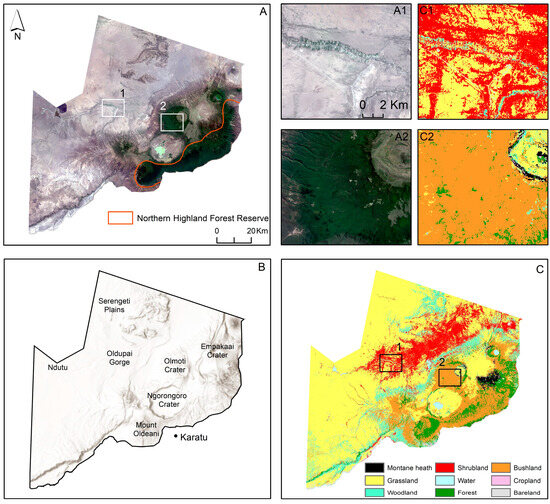 Remotesensing 16 02855 g001