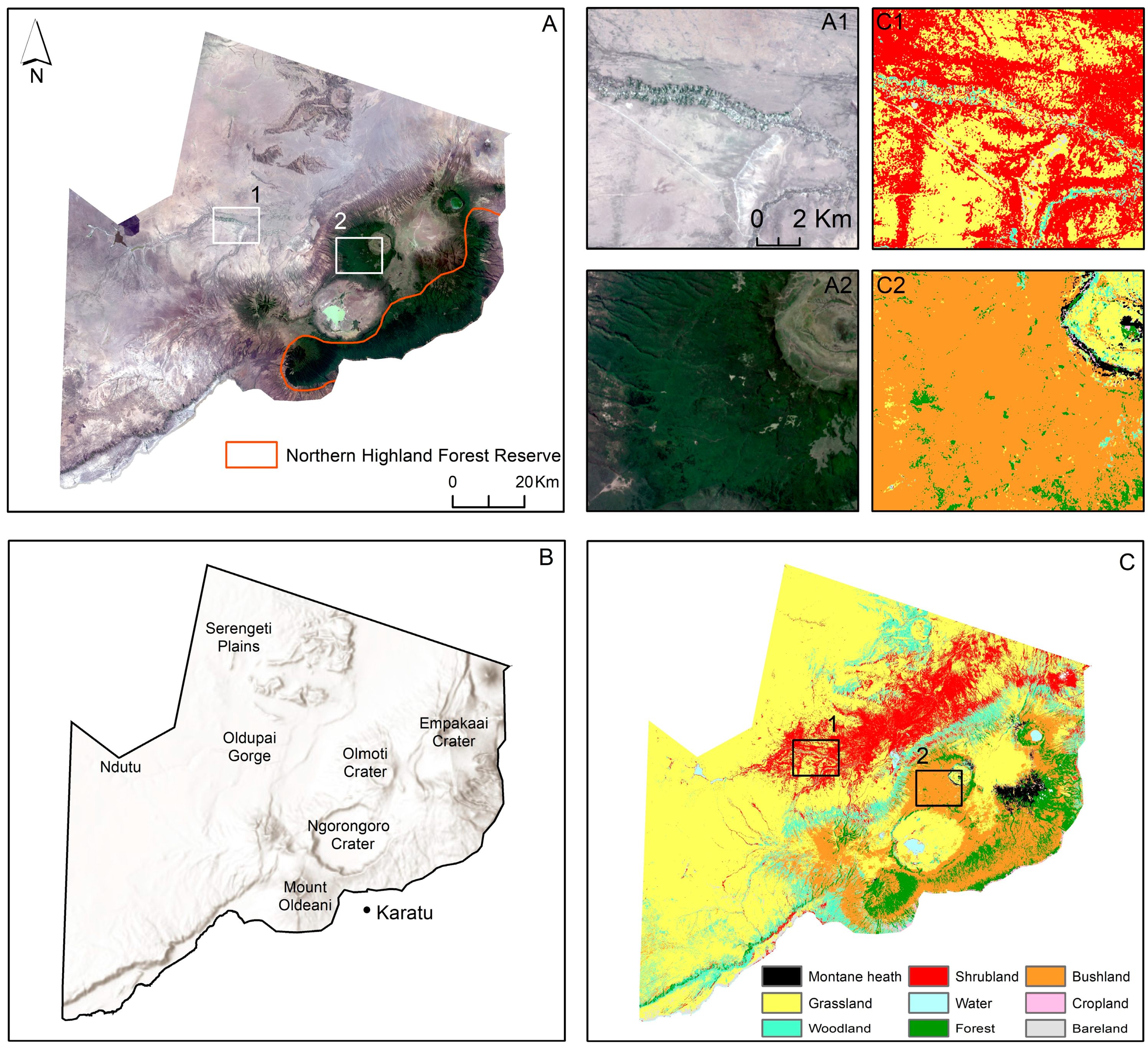 Remotesensing 16 02855 g001