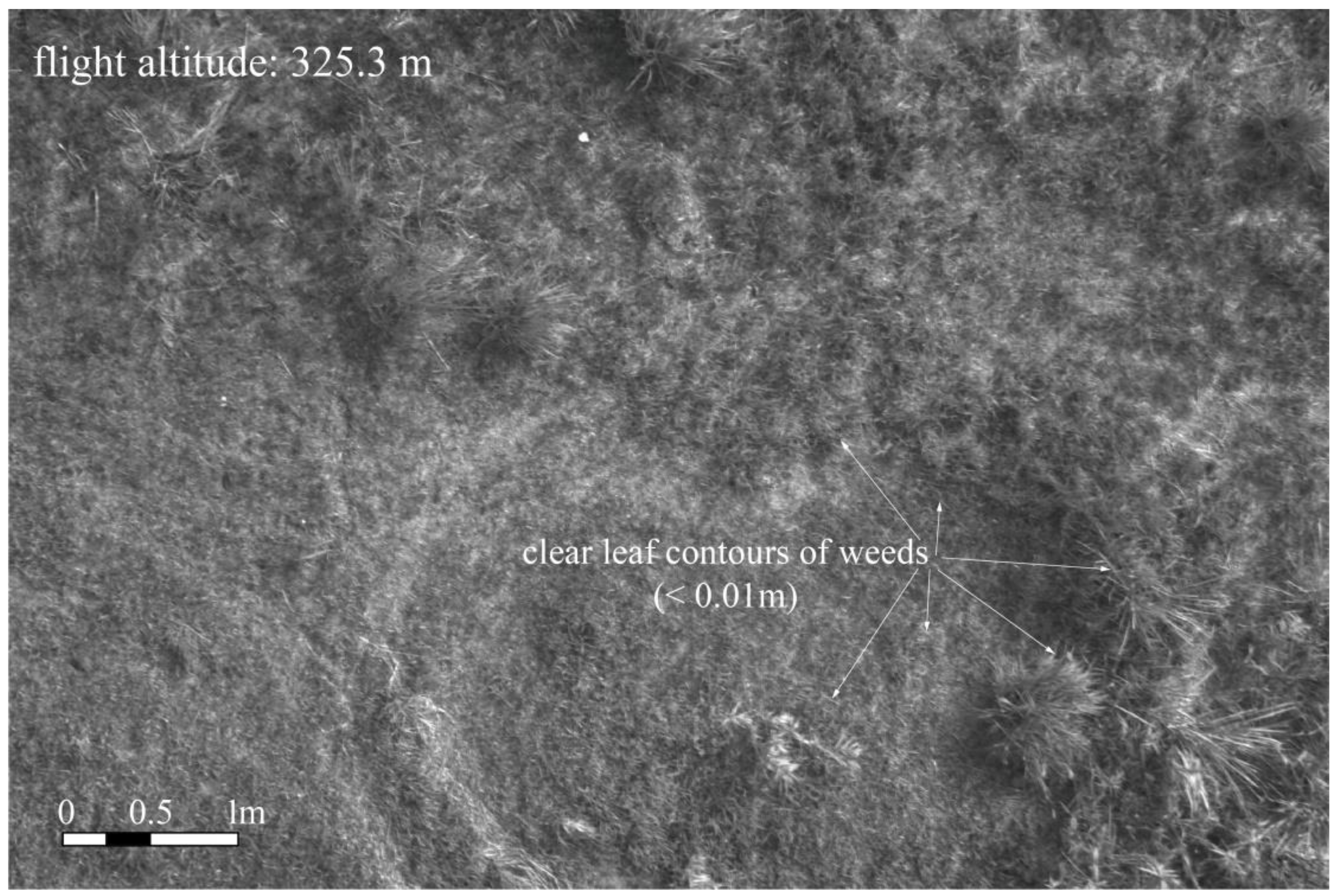 Remotesensing 16 02866 g006