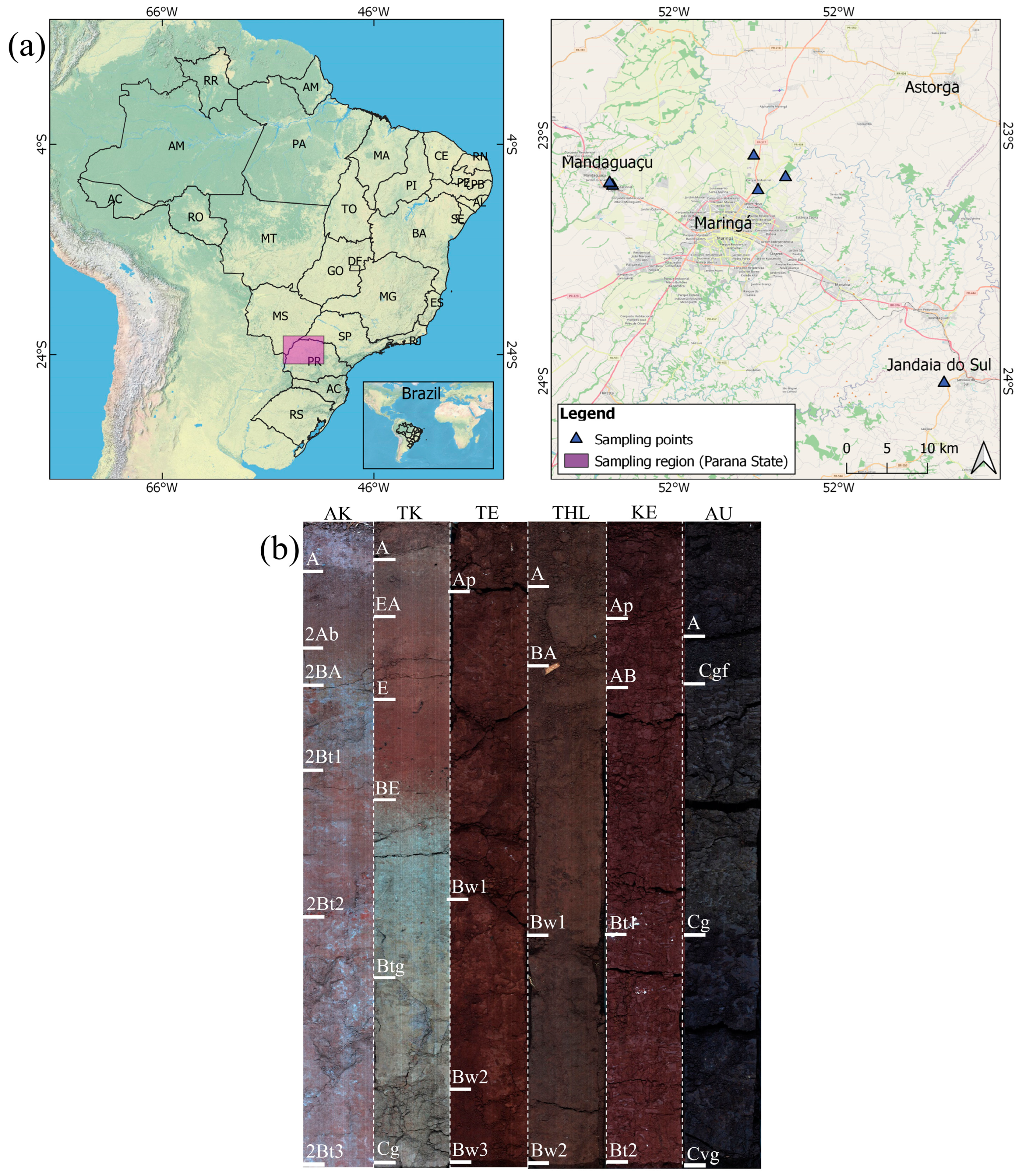 Remotesensing 16 02869 g001