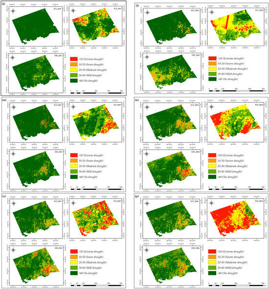 Remotesensing 16 02960 g009c