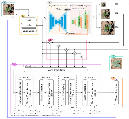 Remotesensing 16 03026 g003