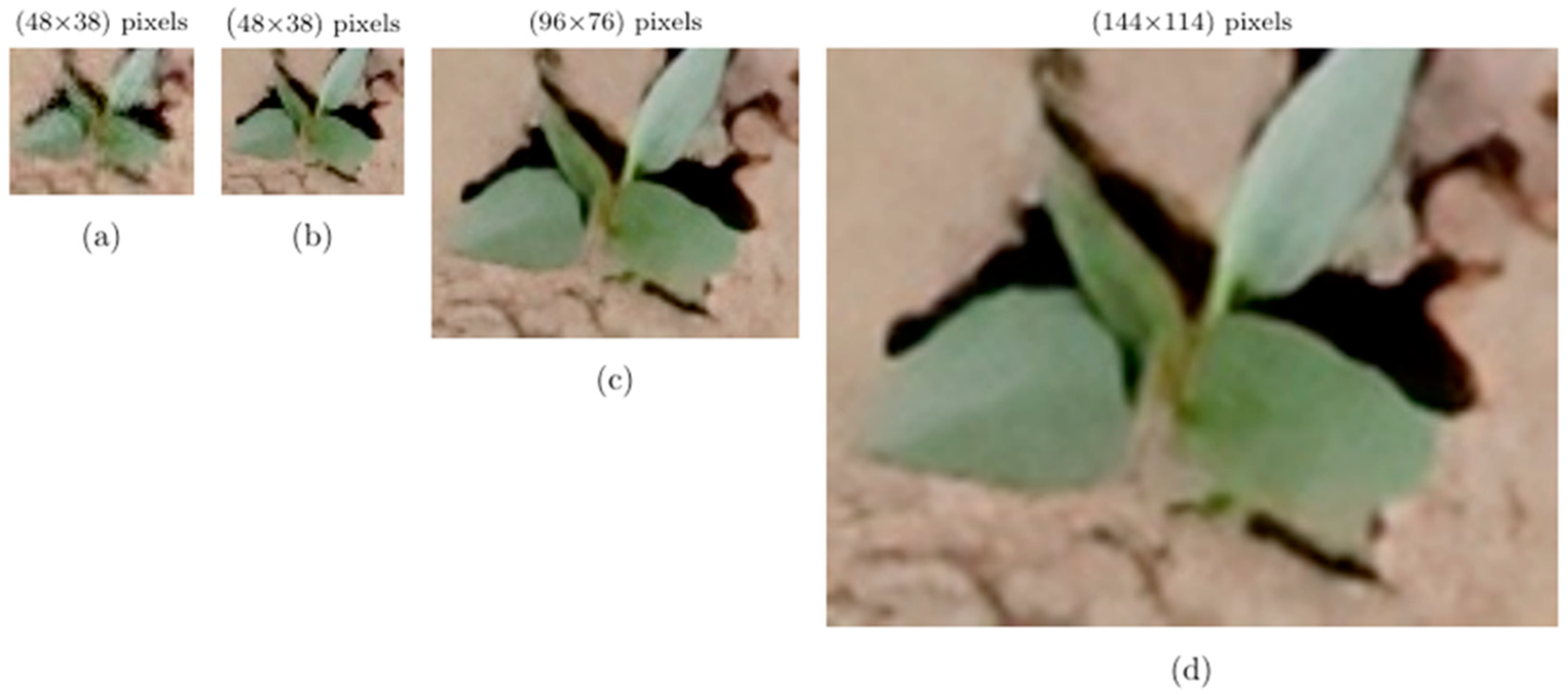 Remotesensing 16 03026 g005 Remotesensing 16 03026 g005