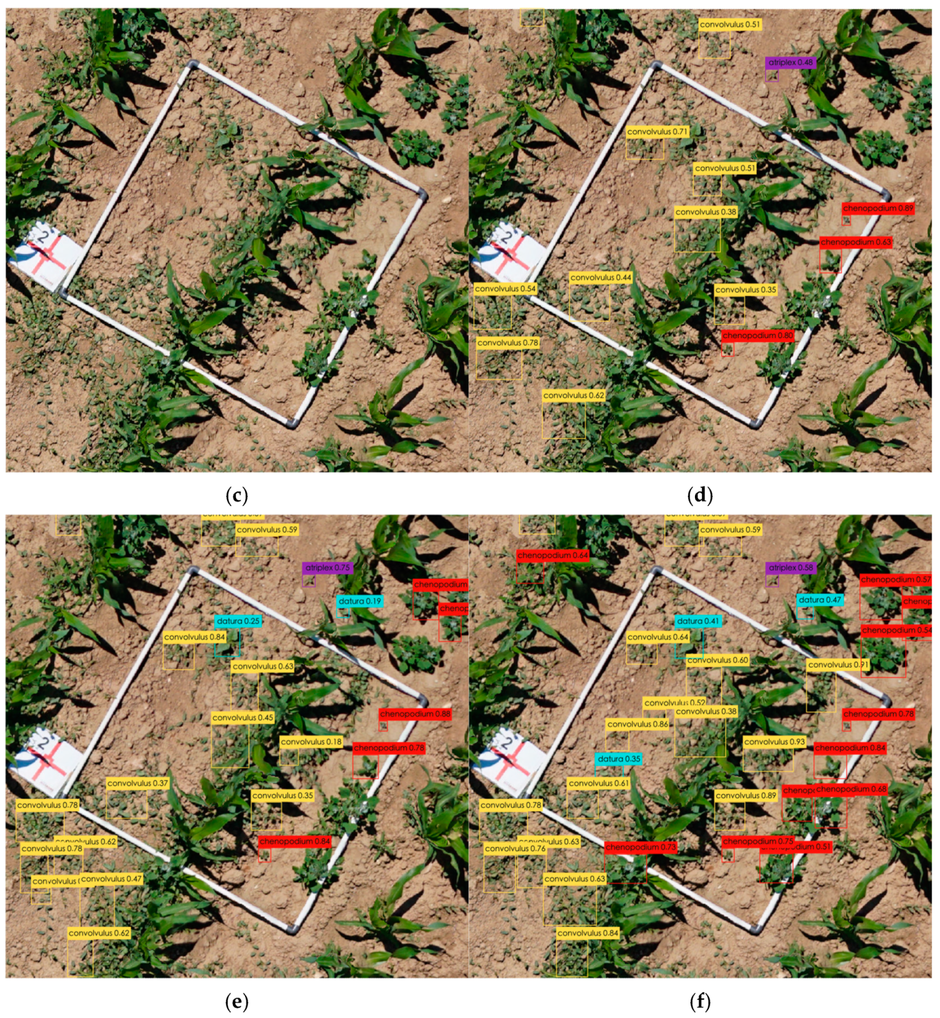 Remotesensing 16 03026 g007b Remotesensing 16 03026 g007b