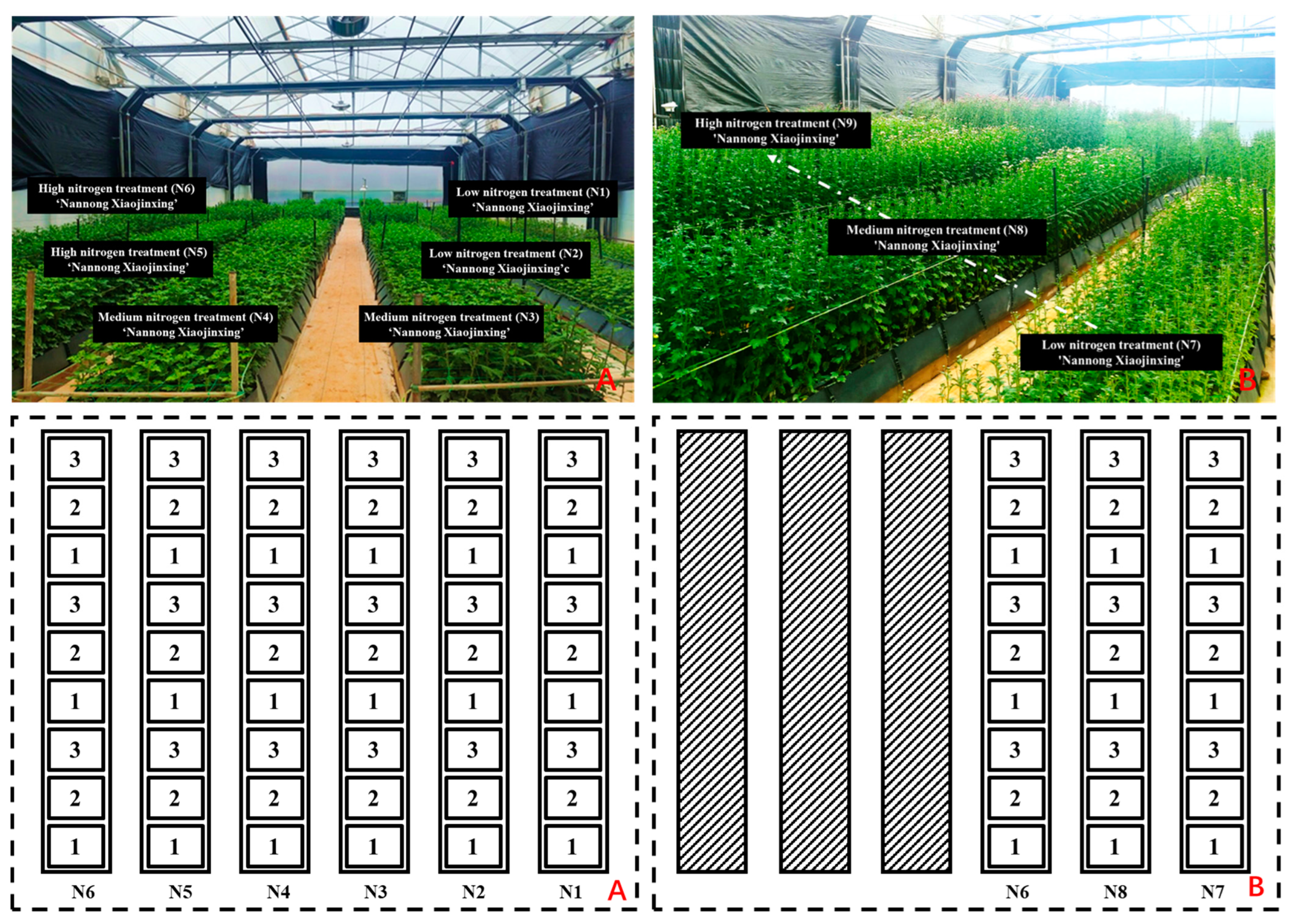 Remotesensing 16 03062 g002