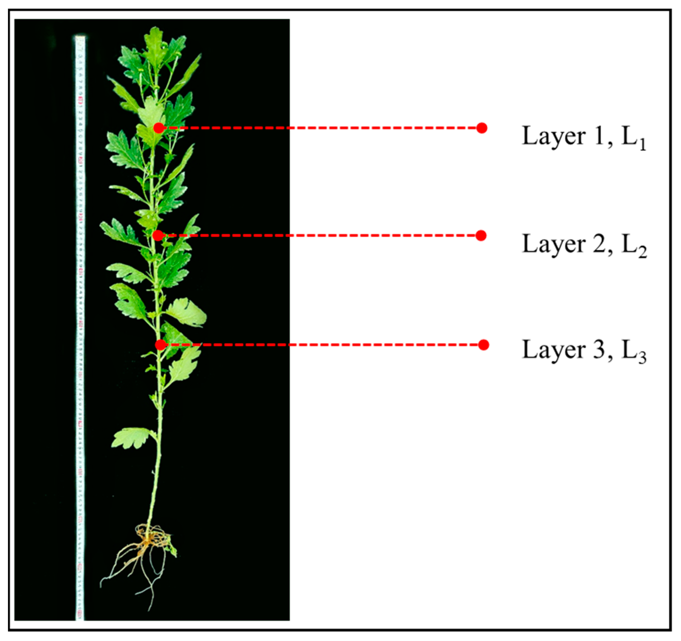 Remotesensing 16 03062 g003