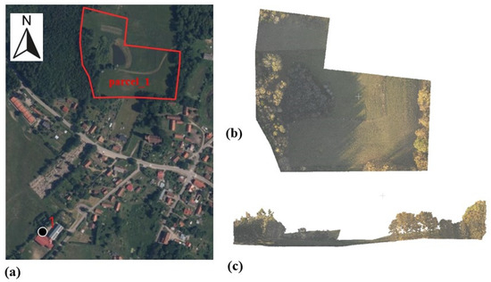 Remotesensing 16 03102 g0a1