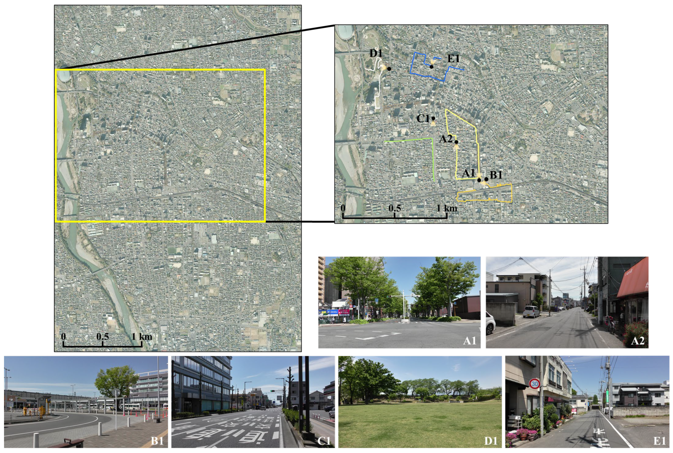 Remotesensing 16 03164 g006