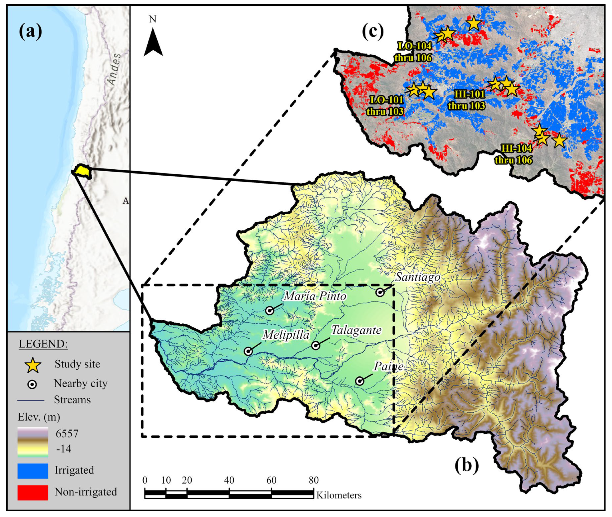 Remotesensing 16 03174 g001