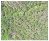 Remotesensing 16 03219 i002