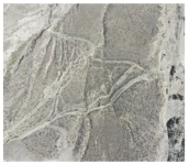 Remotesensing 16 03219 i008