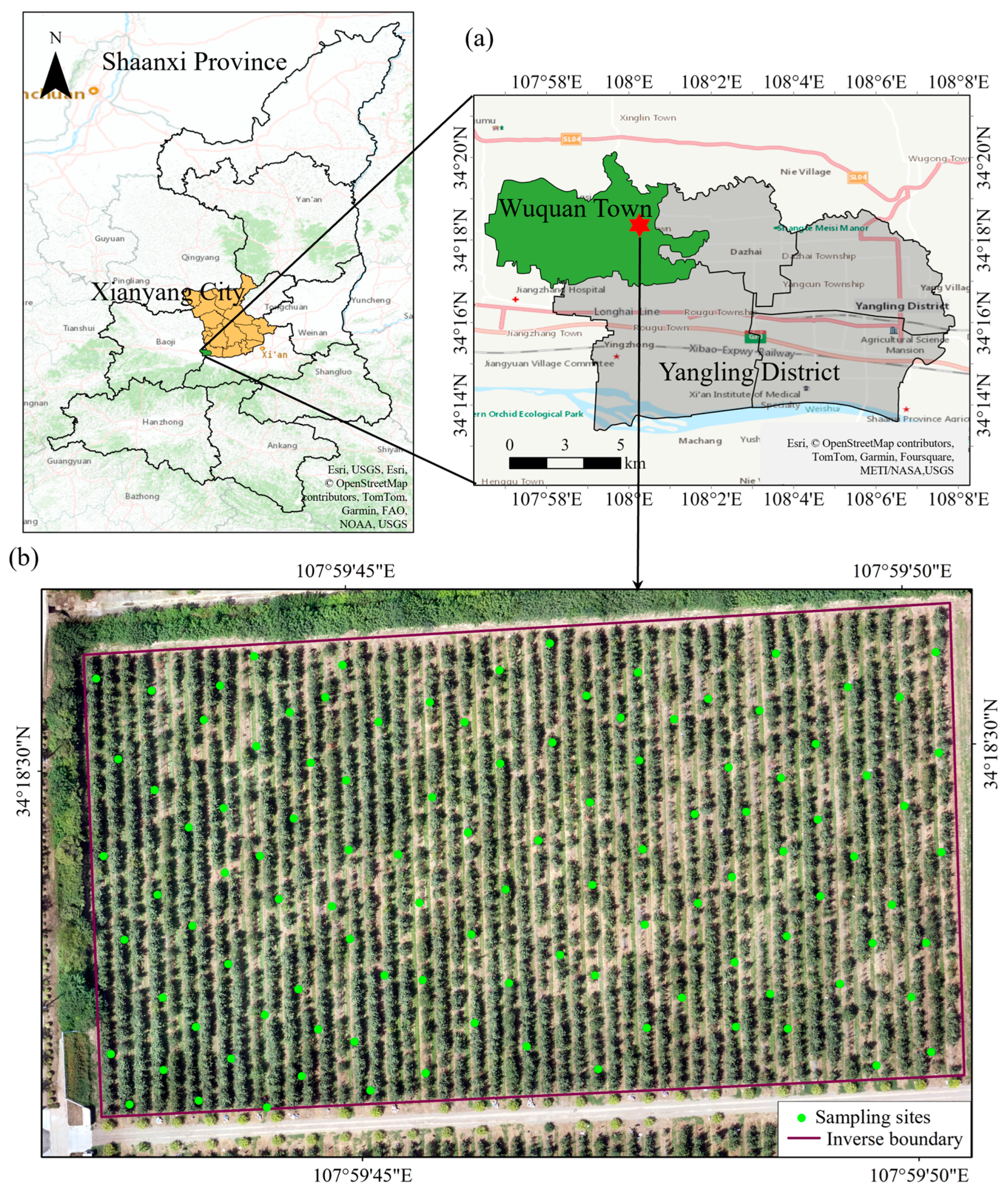 Remotesensing 16 03237 g001