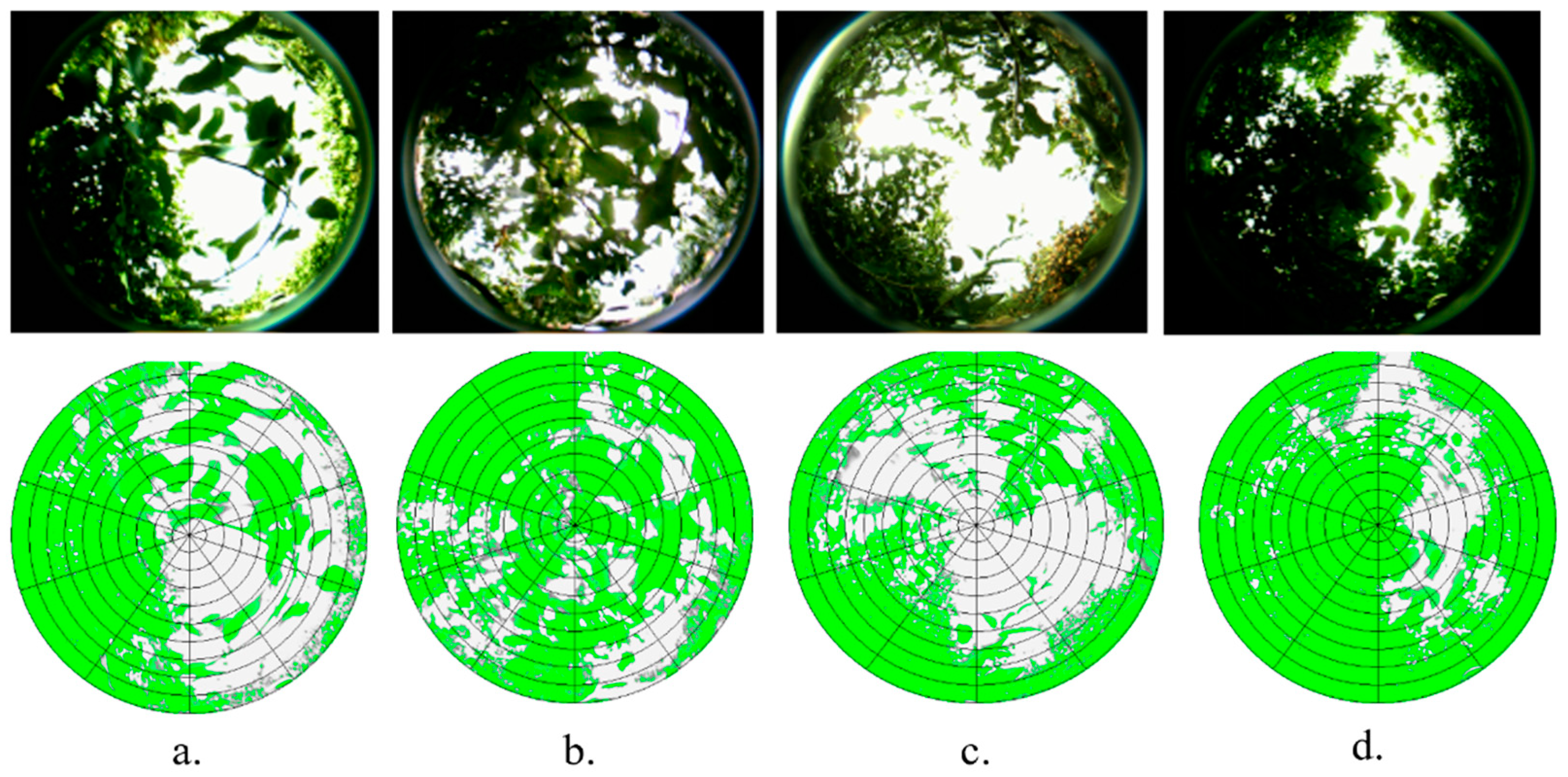 Remotesensing 16 03237 g003
