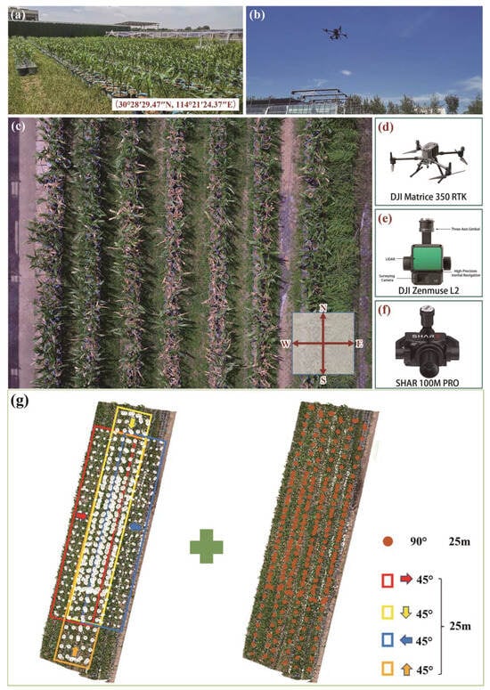 Remotesensing 16 03290 g002