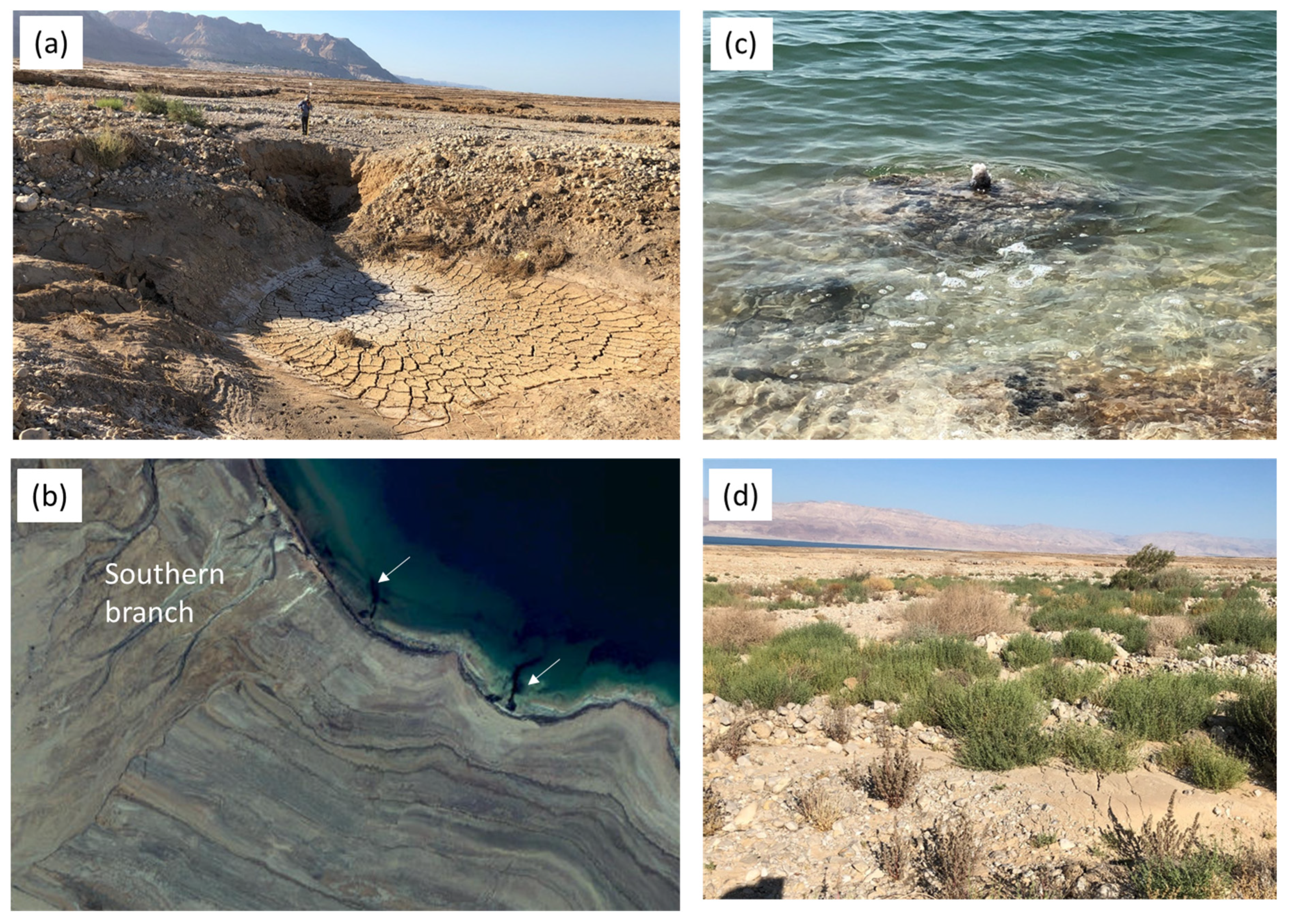 Remotesensing 16 03294 g013