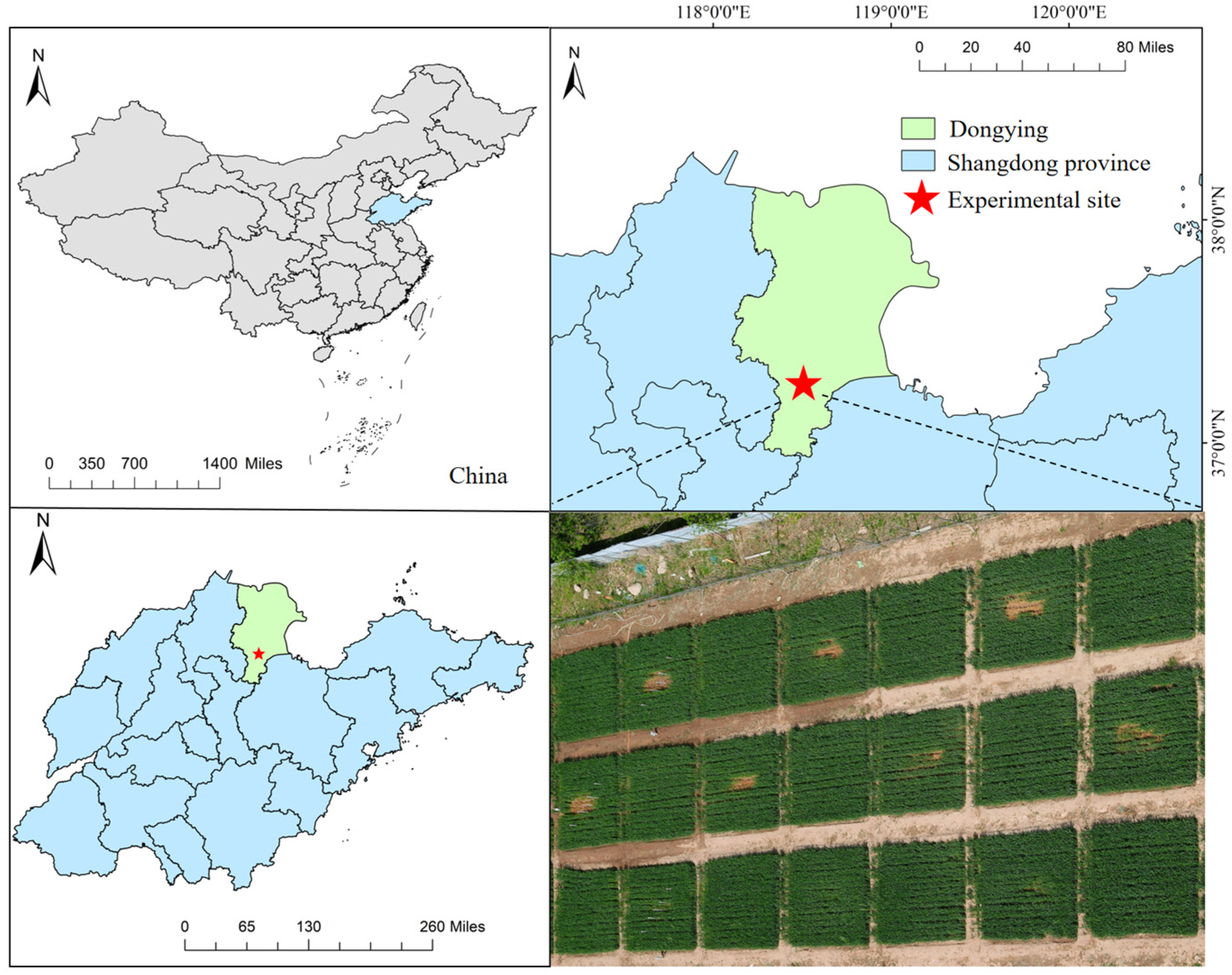 Remotesensing 16 03341 g001