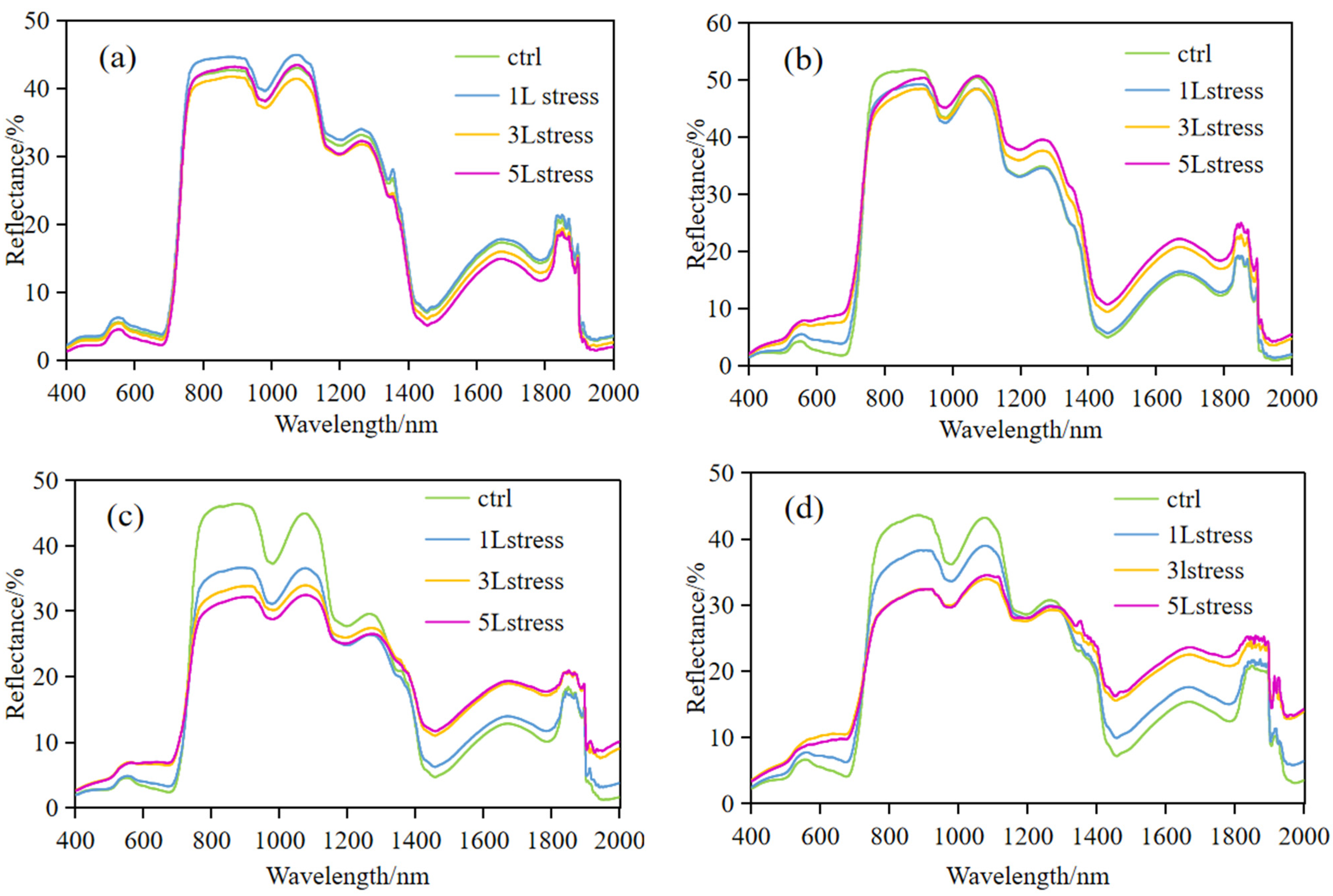 Remotesensing 16 03341 g005