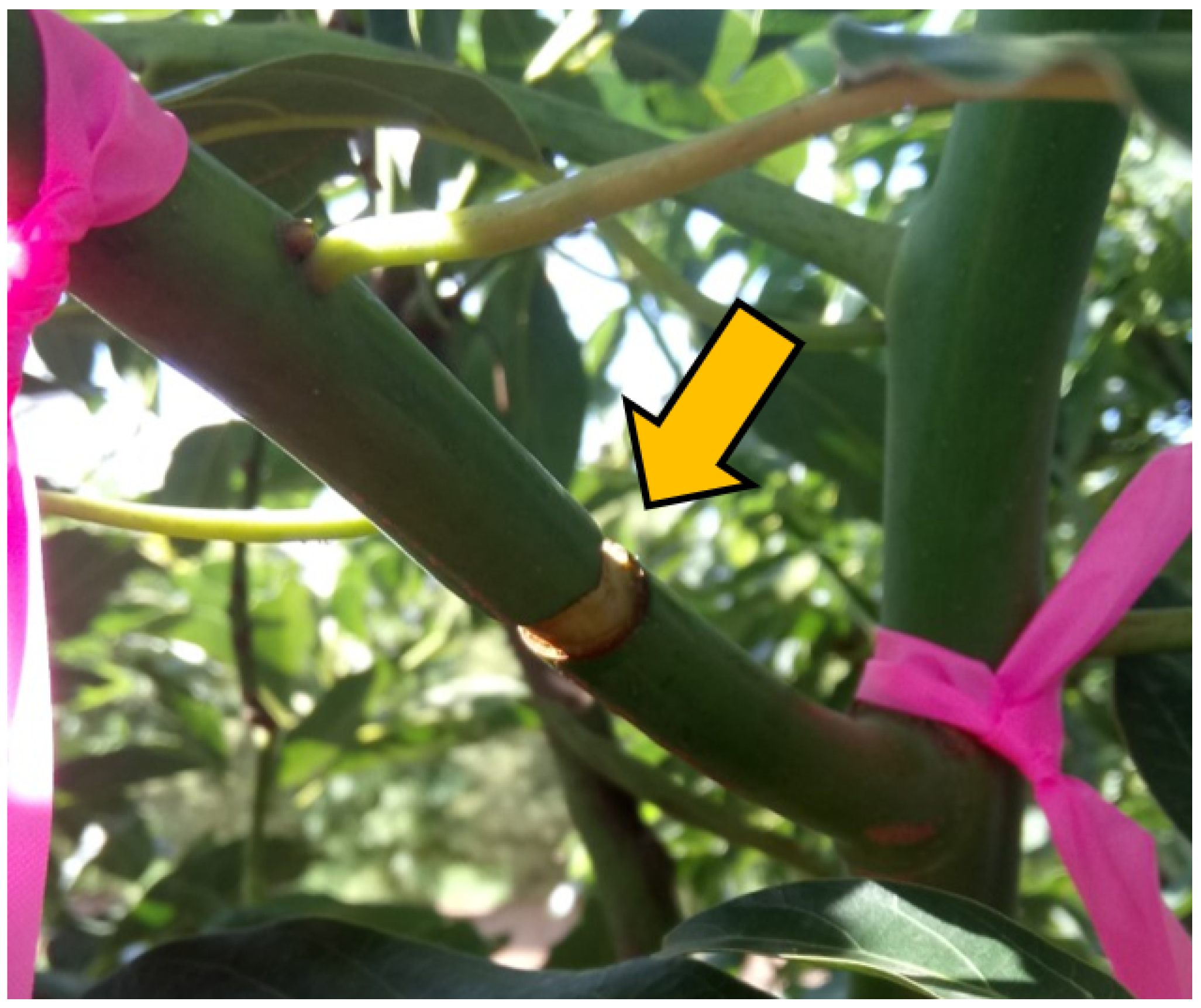 Remotesensing 16 03389 g001