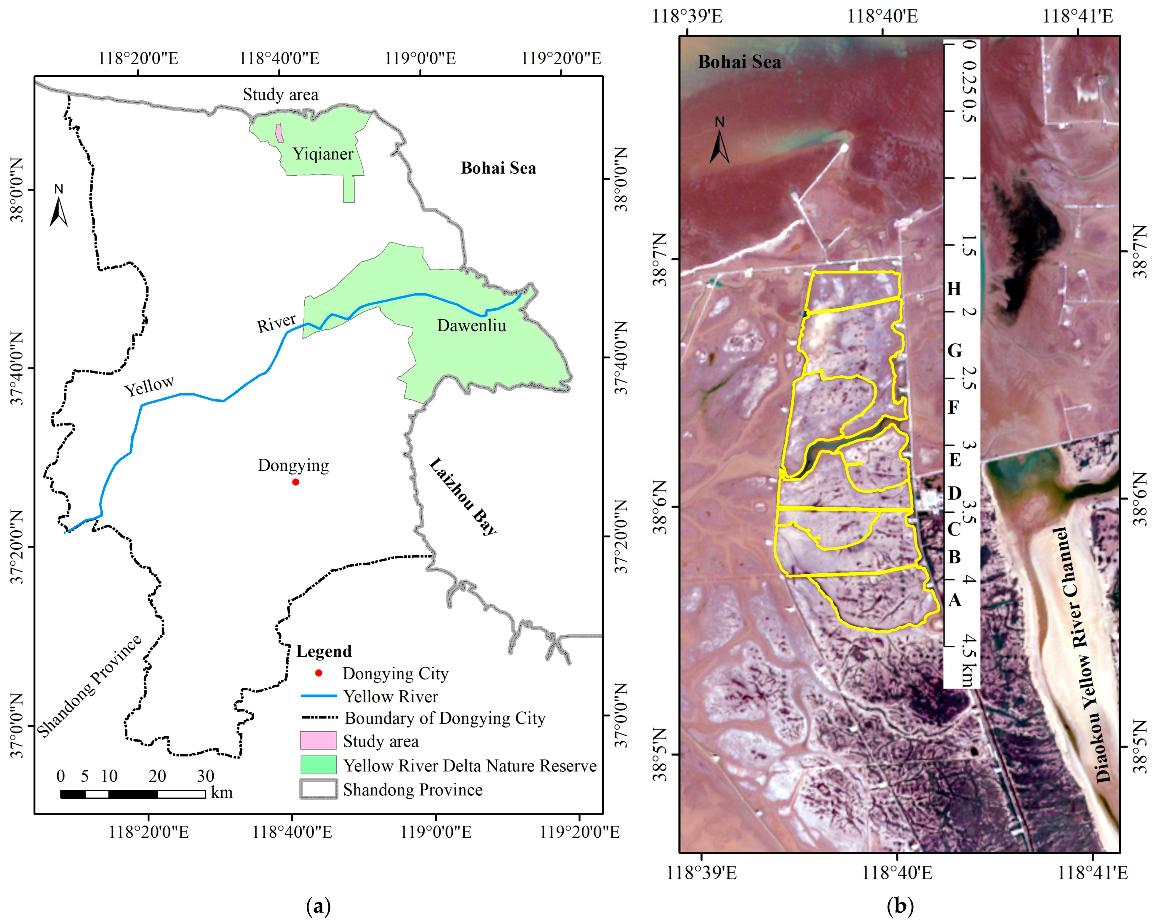 Remotesensing 16 03495 g001