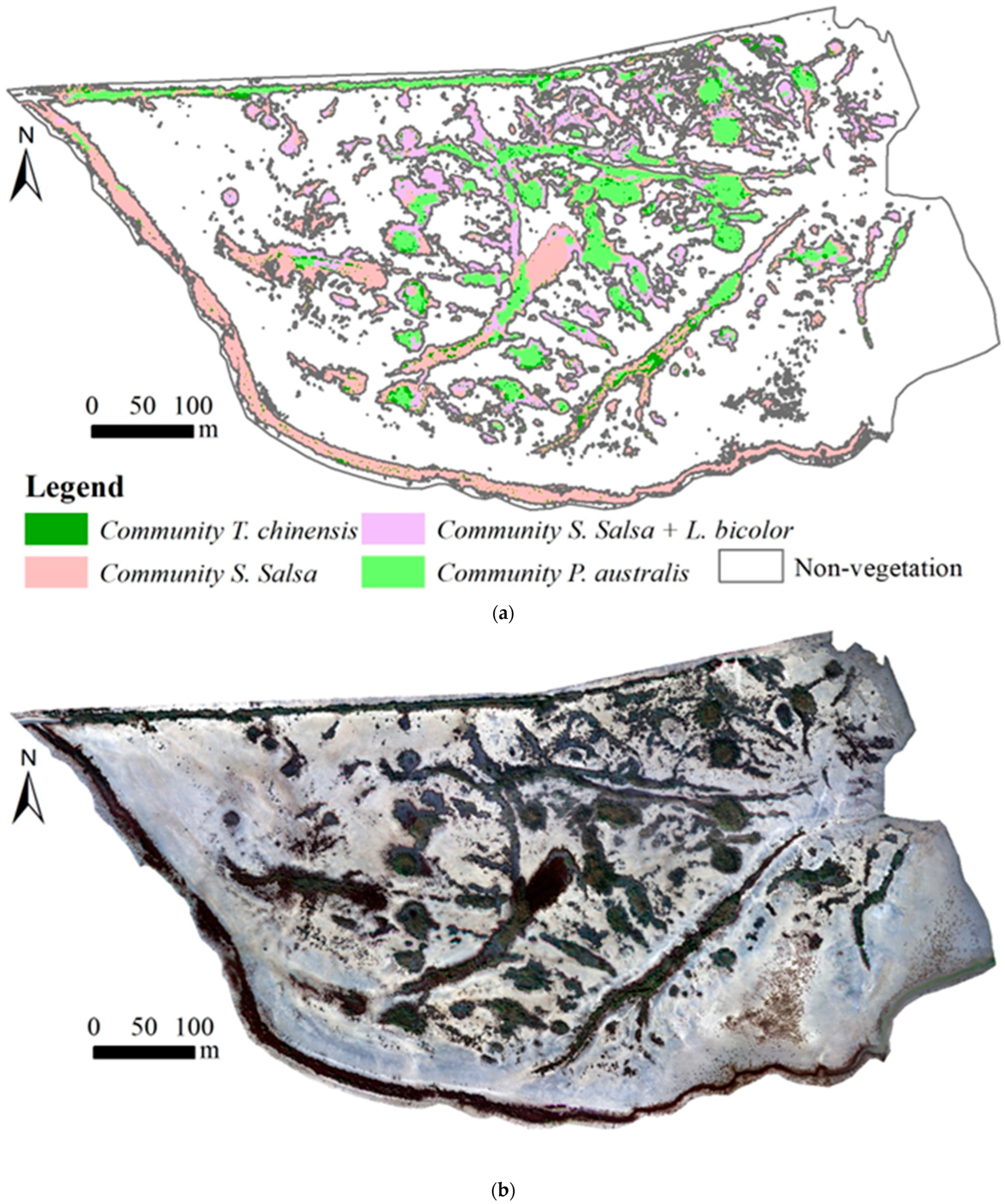Remotesensing 16 03495 g004
